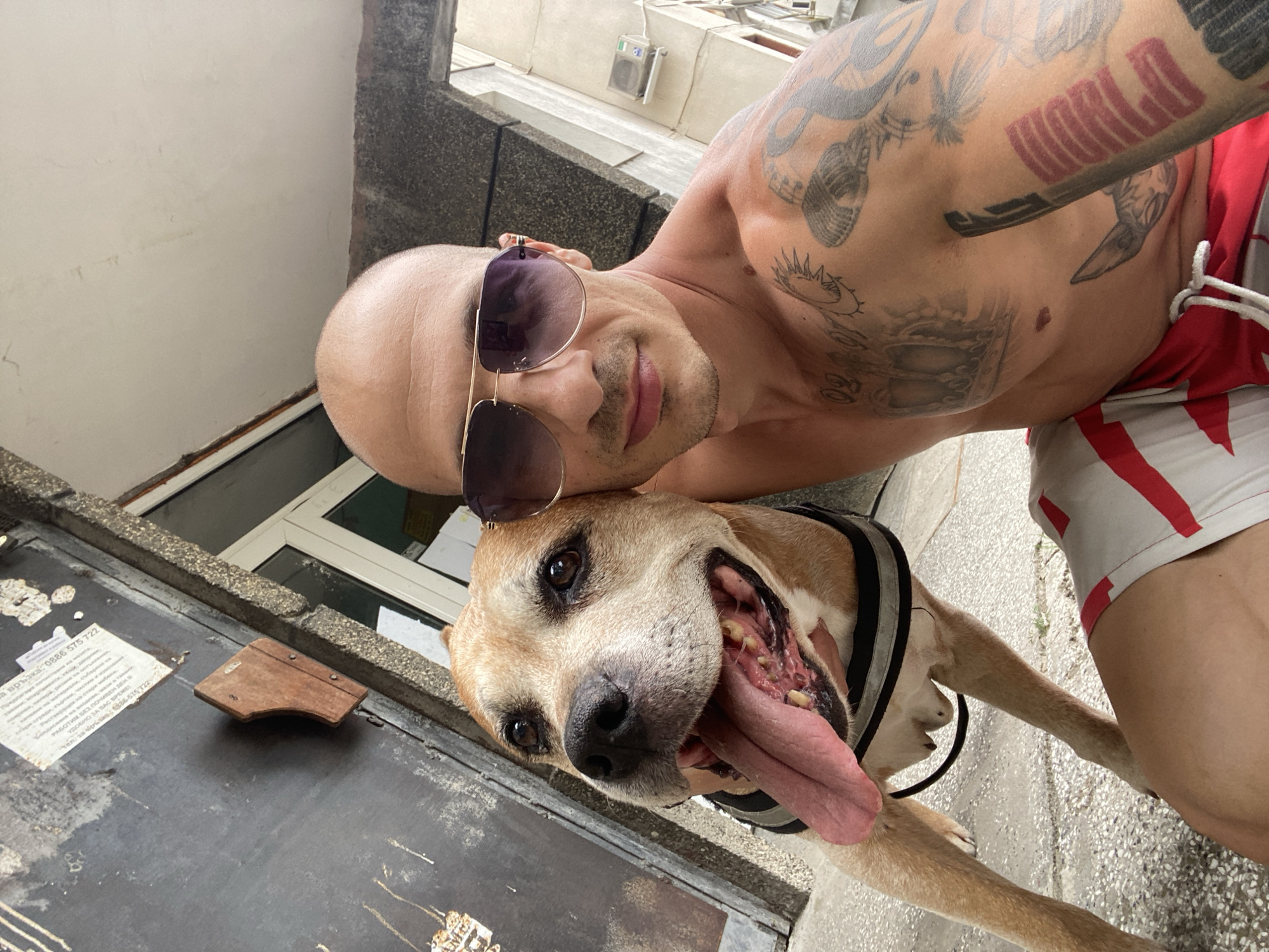 In this selfie, a bald, shirtless man with sunglasses and tattoos on his chest and arm poses with a tan dog. The man is wearing red and white striped shorts. The dog, with its tongue out, appears to be a pit bull mix and is wearing a harness. They are outdoors, in front of a building with a dark, textured wall and a window. A small wooden object is attached to the wall. In the background, another building with an air conditioning unit is visible. This appears to be a residential area in the city of Pleven, Bulgaria.
