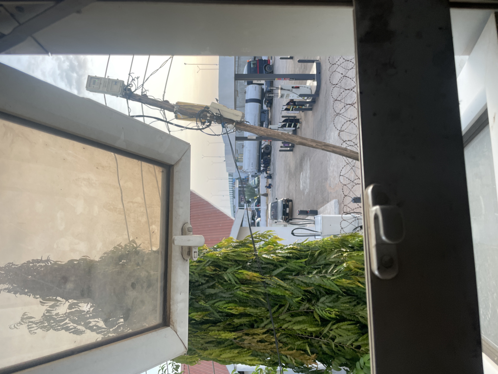 The image depicts an outdoor scene at a fuel station in Jalingo, Nigeria. The foreground features a section of a window frame with a latch, partially obscuring the view. A large, leafy green tree grows in front of a building to the left. Beyond the tree, a fuel station is visible with multiple pumps and a large tanker truck. Several cars are parked in the vicinity, and a few individuals can be seen sitting or standing near the fuel pumps. A wooden utility pole with electrical wires and a meter box is positioned prominently in the mid-ground. The sky is cloudy, suggesting it might be late afternoon or early morning, with a soft, diffused light. Barbed wire fences are visible in the lower portion of the frame.