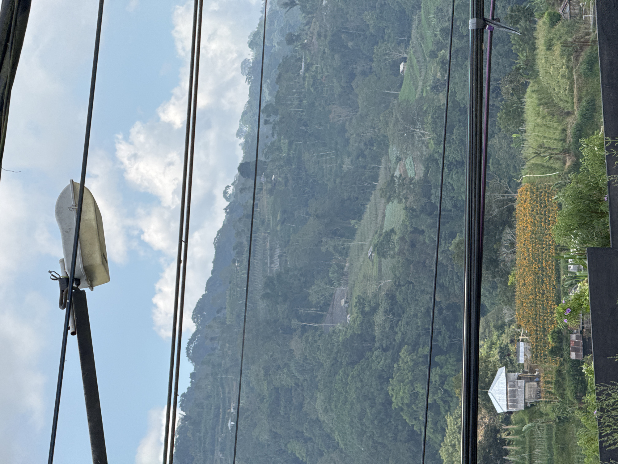 The image captures a view in Baturiti, Indonesia, characterized by a mountain landscape and human-made structures. A hillside covered with dense vegetation is visible, where cultivated terraces and small buildings are scattered. In the foreground, a street lamp stands prominently against a partly cloudy sky, suggesting a public area. Parallel black cables extend across the frame, adding a linear element to the composition. A row of orange flowers is also visible. The picture provides a glimpse into a landscape that combines both natural elements and human modification in Baturiti.