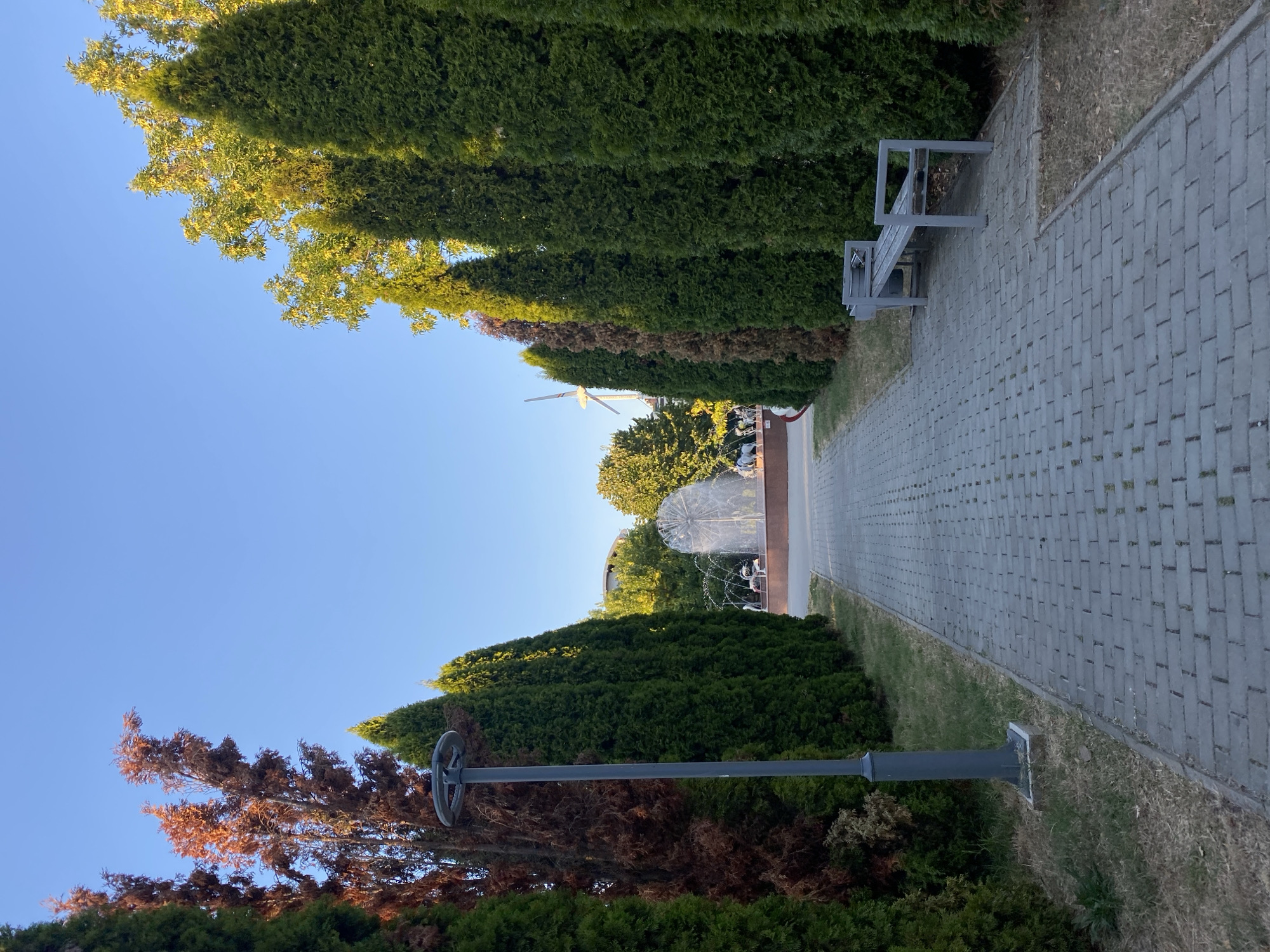 The image depicts a pathway in a park, lined with tall cypress trees and some brown, dried trees on the left side. A lamppost stands to the left of the pathway. Further down the path, a fountain is visible with water jets. On the right side of the pathway, there is a grey metal bench. The sky is clear and blue. The scene suggests a park in Chișinău, Moldova, likely in the late afternoon or early evening given the lighting. No people are prominently featured or interacting.