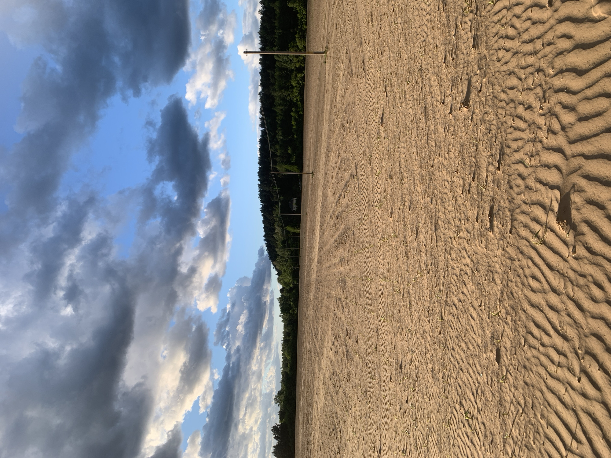 The image shows a field in Varviškė, Lithuania. The ground is sandy with wavy patterns. Parallel lines run across the field, suggesting tire tracks. A line of trees and wooden poles are visible along the horizon. The sky is partly cloudy with a mix of blue and gray clouds. There are no people visible in the scene.