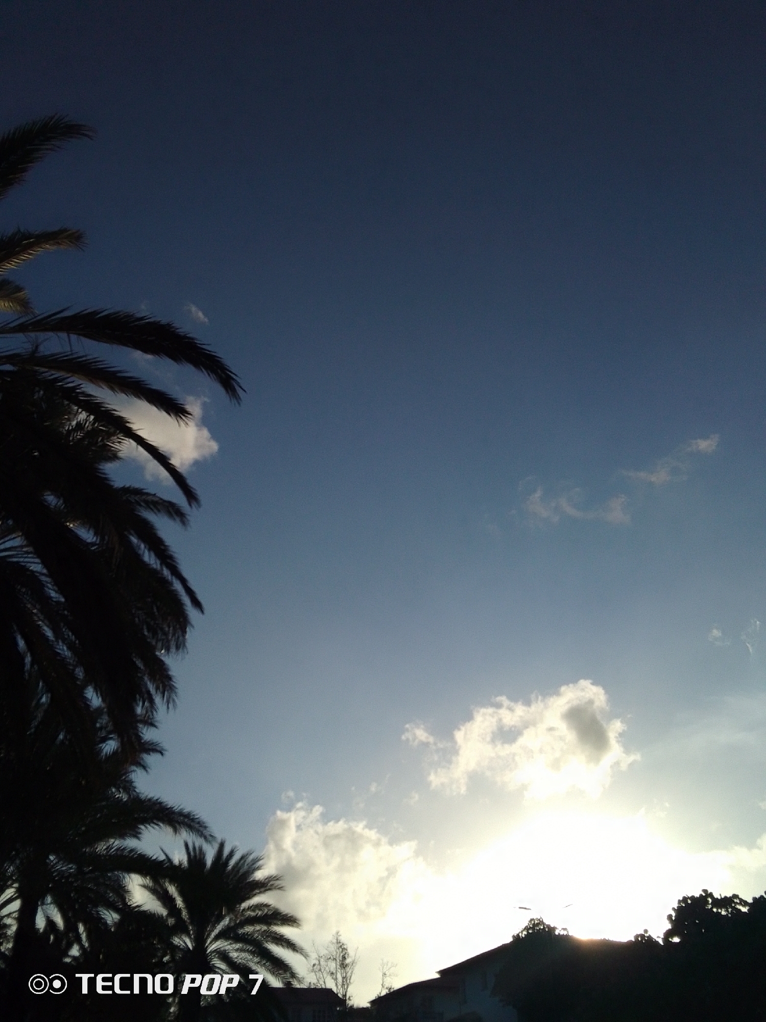 The image shows a view of the sky in Pedro González, Venezuela, at what appears to be sunset. The sky transitions from a deep blue at the top to a lighter blue with white clouds near the horizon, where the sun is positioned, partially obscured. In the foreground, palm trees are silhouetted against the sky, filling the left side of the frame. A building and other trees are also silhouetted in the lower right corner. The image was taken with a TECNO POP 7 phone.