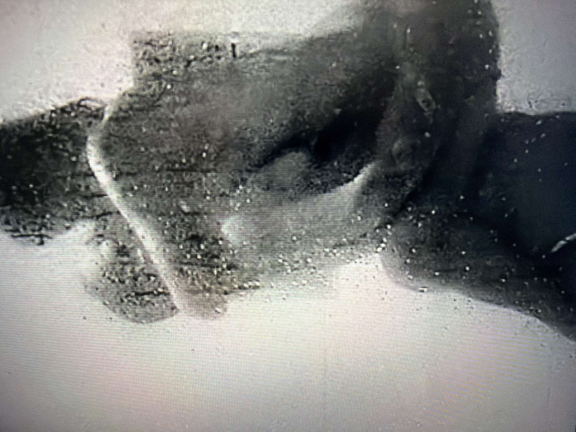 This is a grayscale, low-resolution image, possibly a still from a video recording. The image depicts a close-up view of what appears to be a person's head and shoulders, with a strong emphasis on the texture and lighting.
The subject's face is largely obscured by shadow and the image's poor quality. However, a profile of the right side of the face is vaguely visible, with a hint of an eye socket and a nose. The hair appears dark and textured, blending into the background. The lighting is dramatic, casting deep shadows that obscure details and highlight the contours of the face and neck. There are numerous small, bright specks scattered across the image, which could be artifacts from the recording or perhaps water droplets or dust.
The background is a mix of dark and light areas, creating a sense of depth but offering no clear contextual clues. The overall impression is one of a dark, possibly indoor setting, with artificial lighting. There is no visible text or any indication of the time of day, weather, or specific location. The emotion conveyed is ambiguous due to the lack of clear facial features and the grainy quality of the image. The focus is entirely on the abstract qualities of light and shadow on the human form.