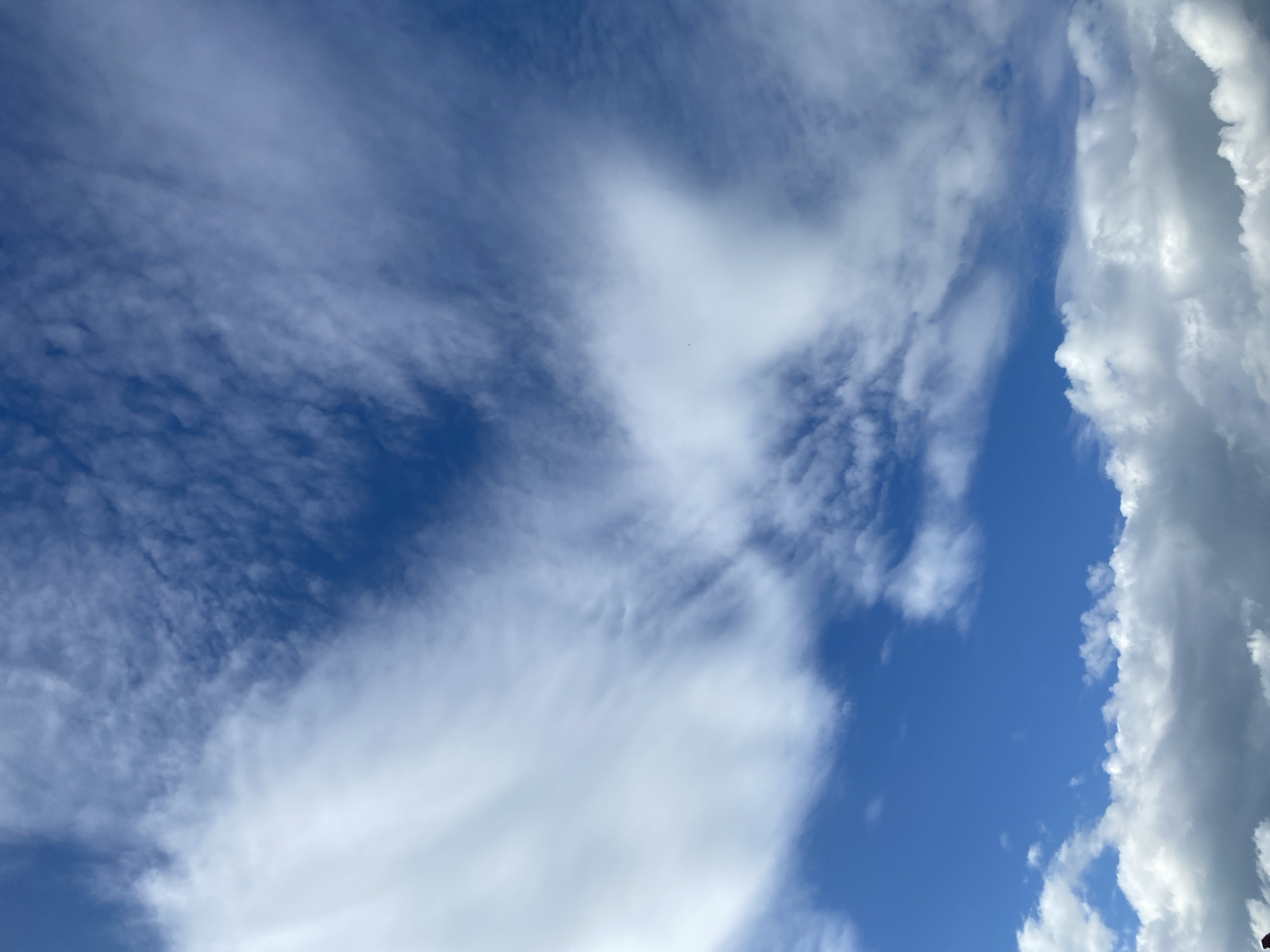 A low-angle, full-frame shot captures a dynamic sky filled with clouds. The deep blue sky serves as a backdrop for a variety of cloud formations. Wispy, feathery clouds stretch across the upper portion of the frame, some appearing almost translucent. Towards the bottom, denser, more textured clouds are visible, with some casting subtle shadows. The lighting suggests it is daytime, with sunlight illuminating the clouds. No people or identifiable structures are present in the frame, focusing the entire composition on the atmospheric conditions.