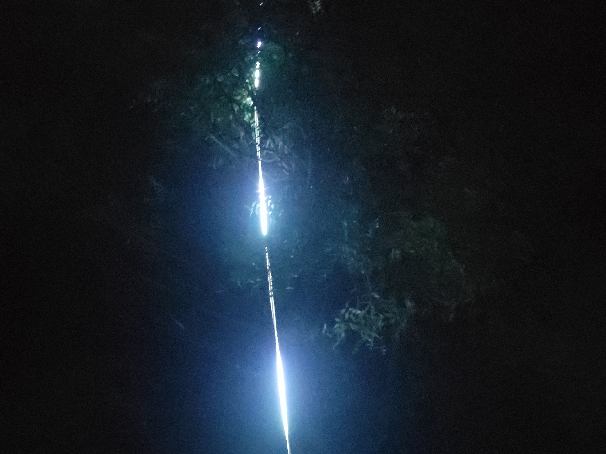 The image captures a dark, nighttime scene in Keffi, Nigeria. A prominent, linear string of bright, cool-white to bluish lights traverses the horizontal center of the frame, appearing suspended. The lights exhibit distinct illuminated segments, particularly towards the left, while the right side displays a more continuous and intense glow. Dense, dark foliage, likely tree branches and leaves, partially illuminated by the glow of the lights, is discernible in the upper and lower portions of the image, emerging from the surrounding darkness. The background is predominantly dark black and deep blue, indicative of a low-light outdoor setting. No individuals, structures, or other distinct objects are evident in the frame, focusing the viewer's attention solely on the illuminated line and its immediate, shadowy environment.