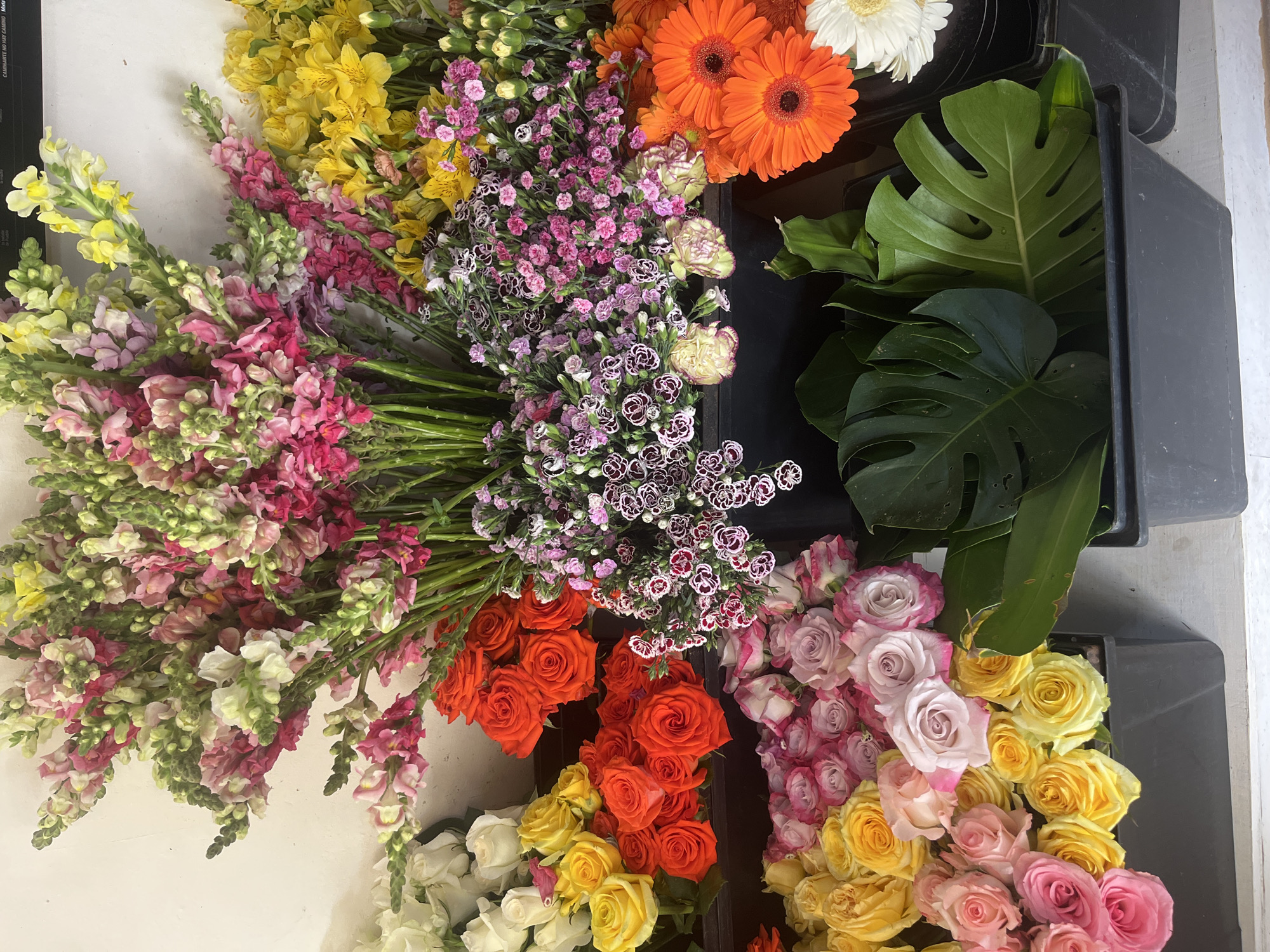 The image shows a top-down view of various cut flowers arranged in plastic bins or on a white surface. The flowers include snapdragons in shades of pink, yellow, and white, yellow alstroemeria, small purple flowers, orange gerbera daisies, white daisies, orange roses, and roses in yellow, pink, and white hues. Monstera leaves are visible in one of the bins. The location is unknown, and there is no information in the image to indicate that it is located in the city of Puebla, Mexico. There are no people or interactions visible in the scene.