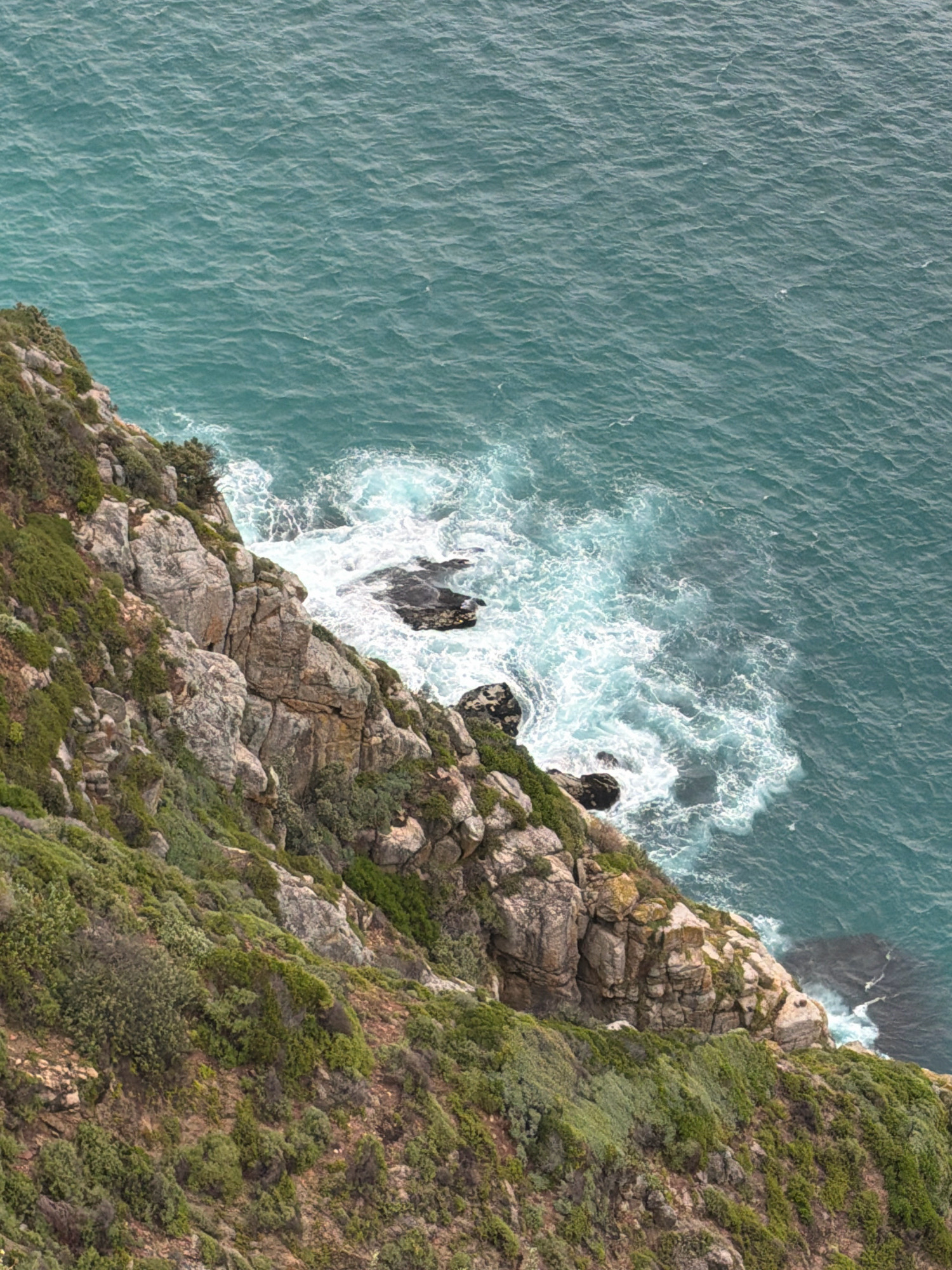 An aerial view of a rugged, green-covered cliff face meeting the turquoise waters of the ocean. The cliff is composed of large, weathered rocks interspersed with dense, low-lying green vegetation. The ocean exhibits gentle waves, with white foam crashing against the rocks at the base of the cliff. The scene captures a dramatic coastal landscape.