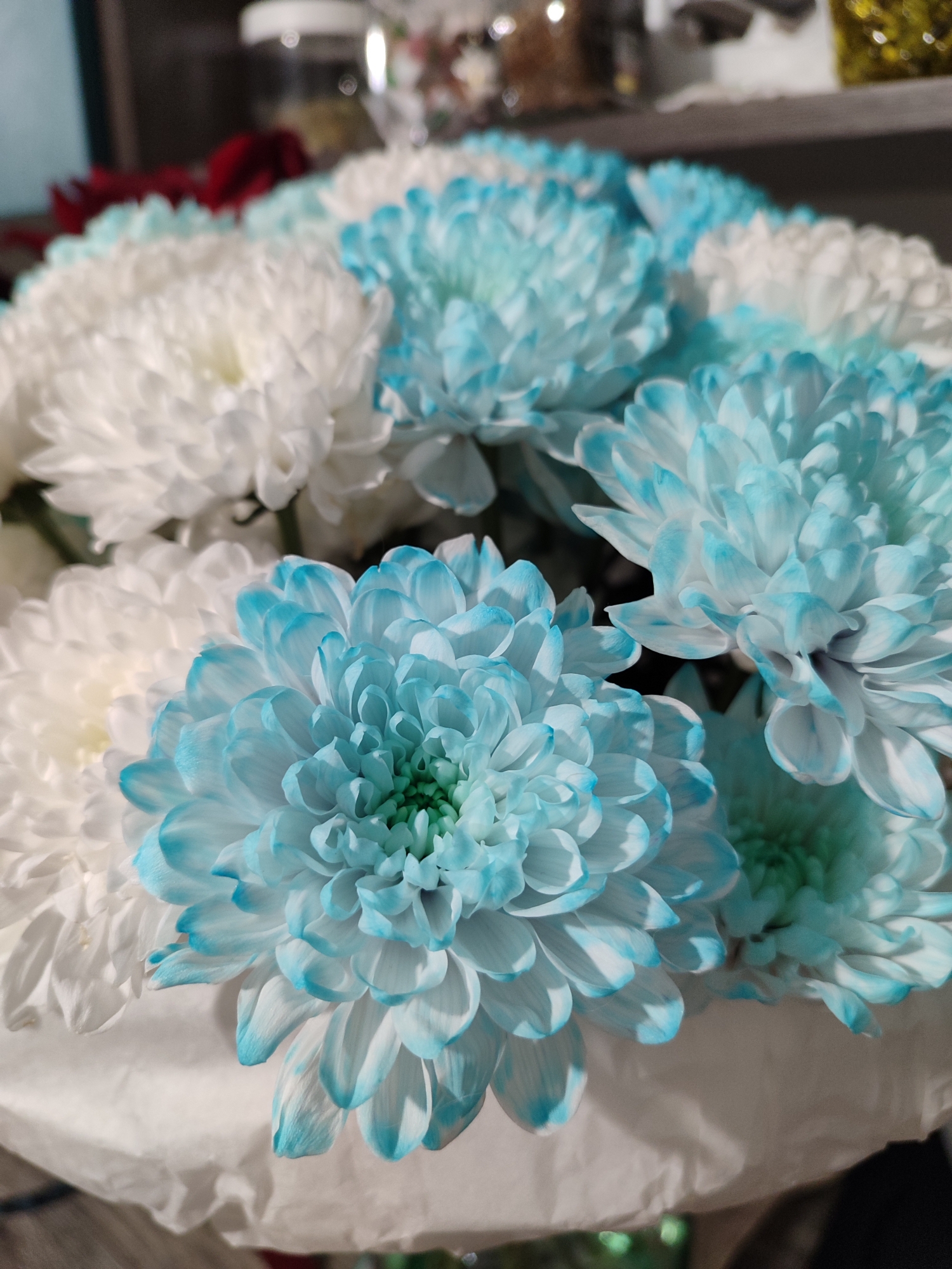 A vibrant close-up photograph captures a bouquet of white and striking blue and white chrysanthemums, presented indoors in Izhevsk, Russia. The foreground is dominated by a large, intricately petaled blue chrysanthemum, with its outer petals fading to white at their bases, suggesting artificial coloration. Surrounding it are other similar blue-tinted flowers and several pure white chrysanthemums, creating a strong color contrast.
The shallow depth of field keeps the flowers sharply in focus, while the background is softly blurred. The bottom of the bouquet appears to be wrapped in white paper or fabric. In the out-of-focus background, hints of other objects are visible, including what appears to be a glass container, possibly a shelf, and some blurred red flowers, suggesting an indoor setting. No specific activity is taking place, and there is no visible text. The indoor lighting does not indicate a particular time of day.