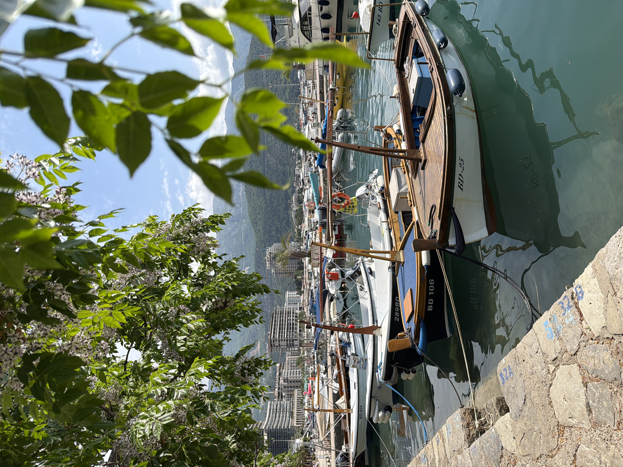 The image depicts a marina filled with various boats docked along a stone quay, likely located in Budva, Montenegro, given the coastal architecture and mountainous backdrop. The foreground includes green foliage and blossoms that partially obscure the view. A wooden boat with the marking "BD-25" is docked closest to the viewer, and its reflection is visible in the water. Adjacent boats bear identification numbers "BD 106," "BD-934" and "289BD". Further into the marina, additional boats of different sizes and colors are moored. In the distance, modern buildings rise in the cityscape against a backdrop of green mountains and a clear sky. The quay is constructed of rough stone blocks with some spray-painted numbers or markings.