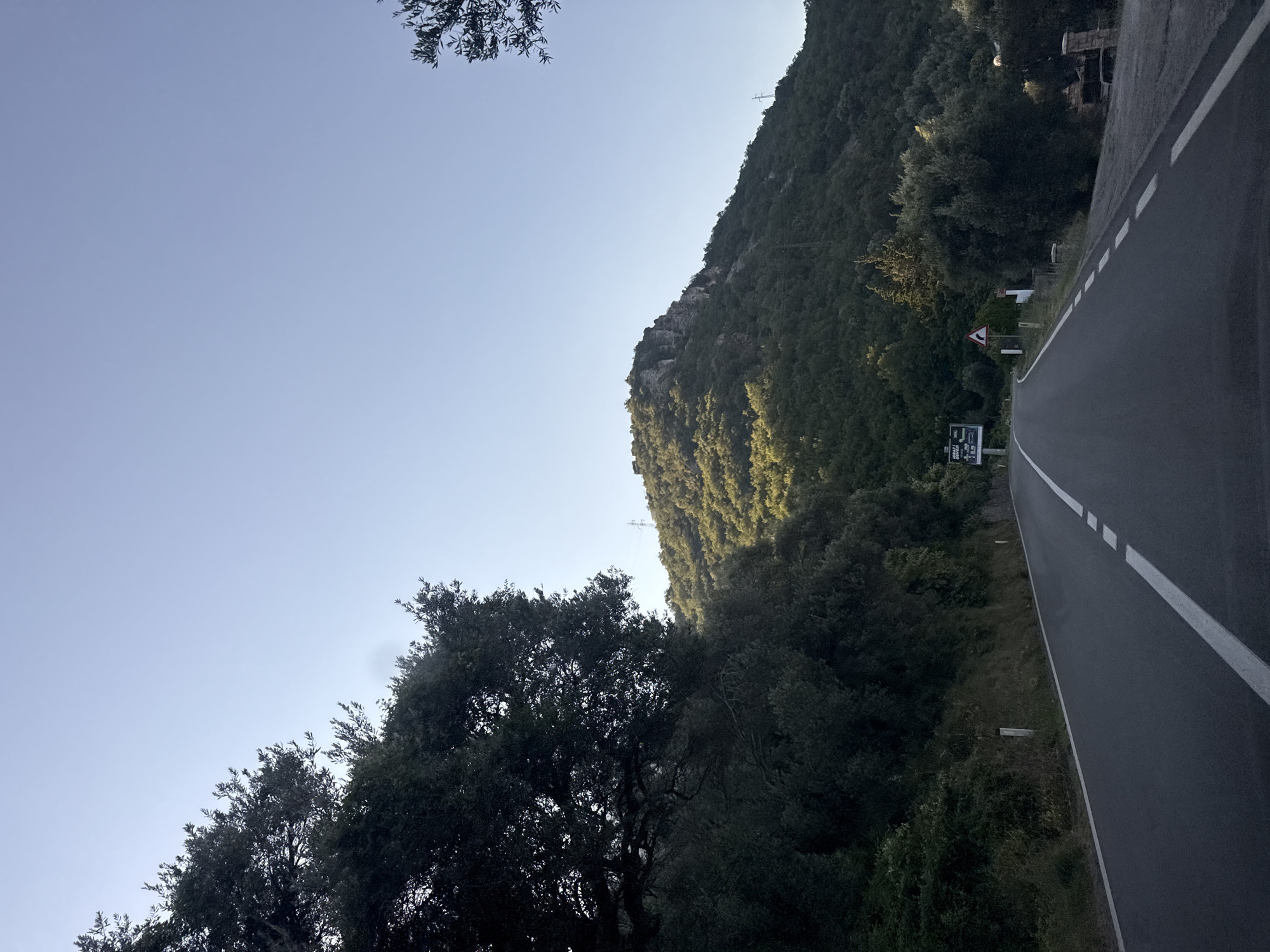 The image depicts a winding asphalt road with white lane markings, leading towards a mountain covered in dense green foliage. The road is flanked by thick vegetation and trees, with some areas of rocky outcrops visible on the mountainside. A billboard with text is partially visible on the left side of the road, and traffic signs, including a warning sign for a curve, are also present. The sky is clear and blue, suggesting daylight. The scene appears to be a rural or semi-rural area, likely in the vicinity of Sveti Stefan, Montenegro, given the Mediterranean-like vegetation and mountainous terrain. There are no people or animals visible in the image, nor are any specific actions or interactions taking place. The overall impression is a scenic drive through a natural landscape.