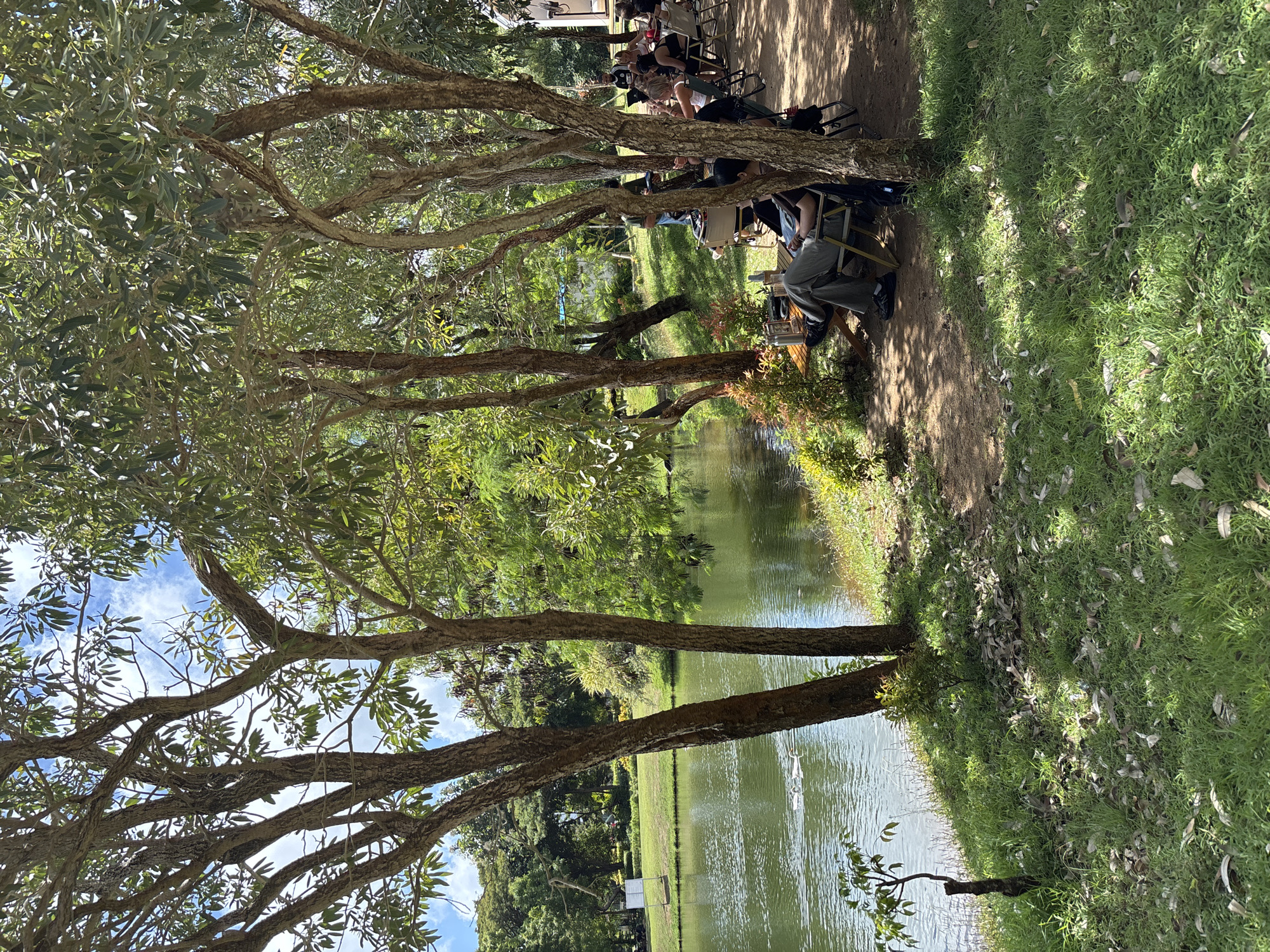 The image depicts a serene waterside scene in Kuta Selatan, Indonesia. A row of people are seated in camping chairs, mostly obscured by the branches and foliage of mature trees along the water's edge. These trees, with their textured trunks and green leaves, dominate the foreground. Beyond the trees, the water reflects the surrounding greenery and sky, creating a sense of depth. The far bank of the water features more trees and a glimpse of open green space, possibly a park or garden. The ground alongside the seated people is a mix of dirt and grass, dappled with sunlight filtering through the trees.