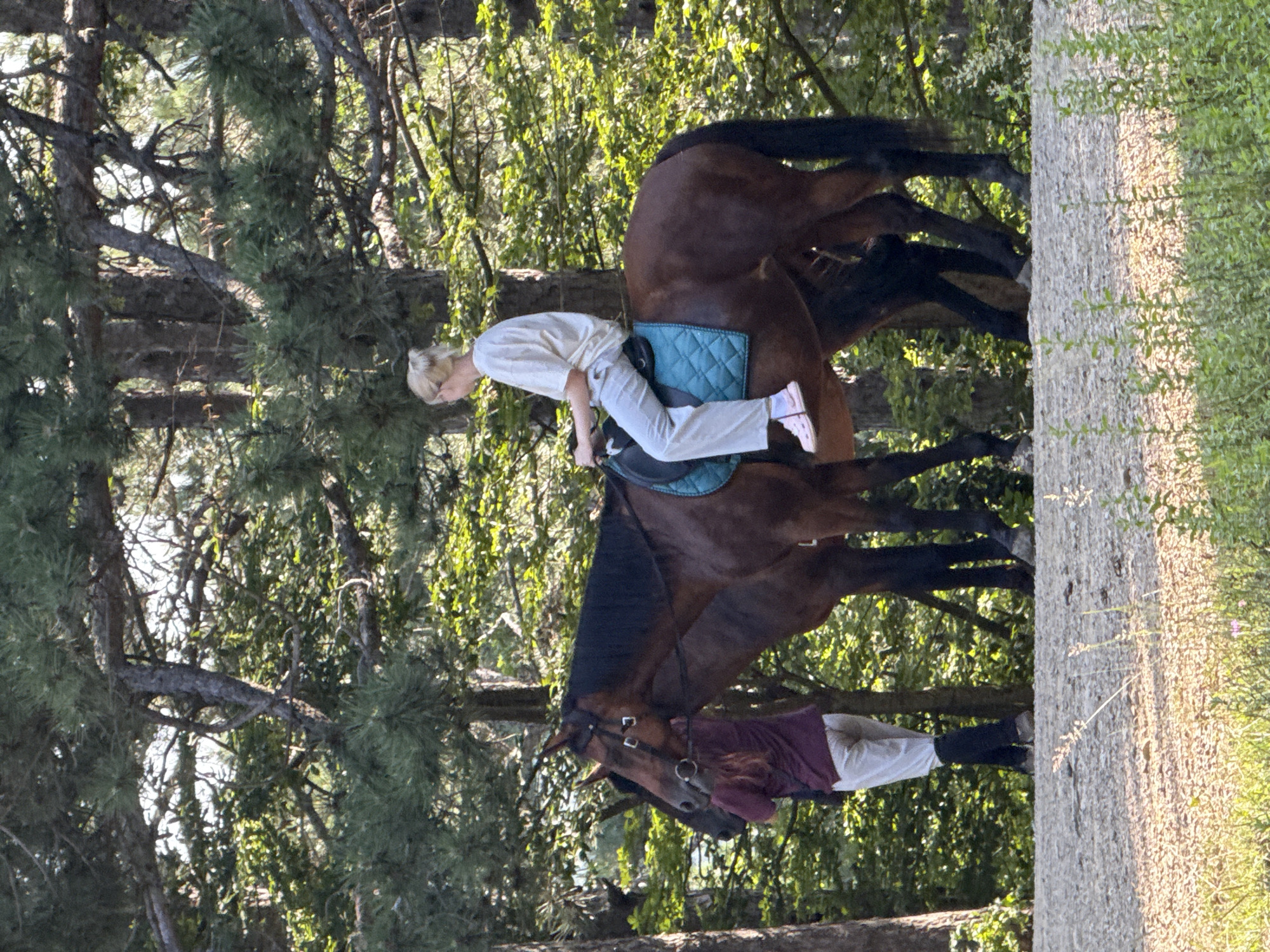 In Zaprudnoe, Ukraine, two brown horses are standing on a dirt path surrounded by trees. One horse is saddled and ridden by a woman with blonde hair pulled into a bun. She is wearing a light-colored t-shirt and light-colored pants, with pink sneakers. The other horse is standing beside the first, and a person in a maroon shirt and light-colored pants, with black leg wraps, is standing next to its head. The horses are equipped with bridles. The environment is a wooded area with sunlight filtering through the trees, creating dappled lighting on the ground and foliage.
