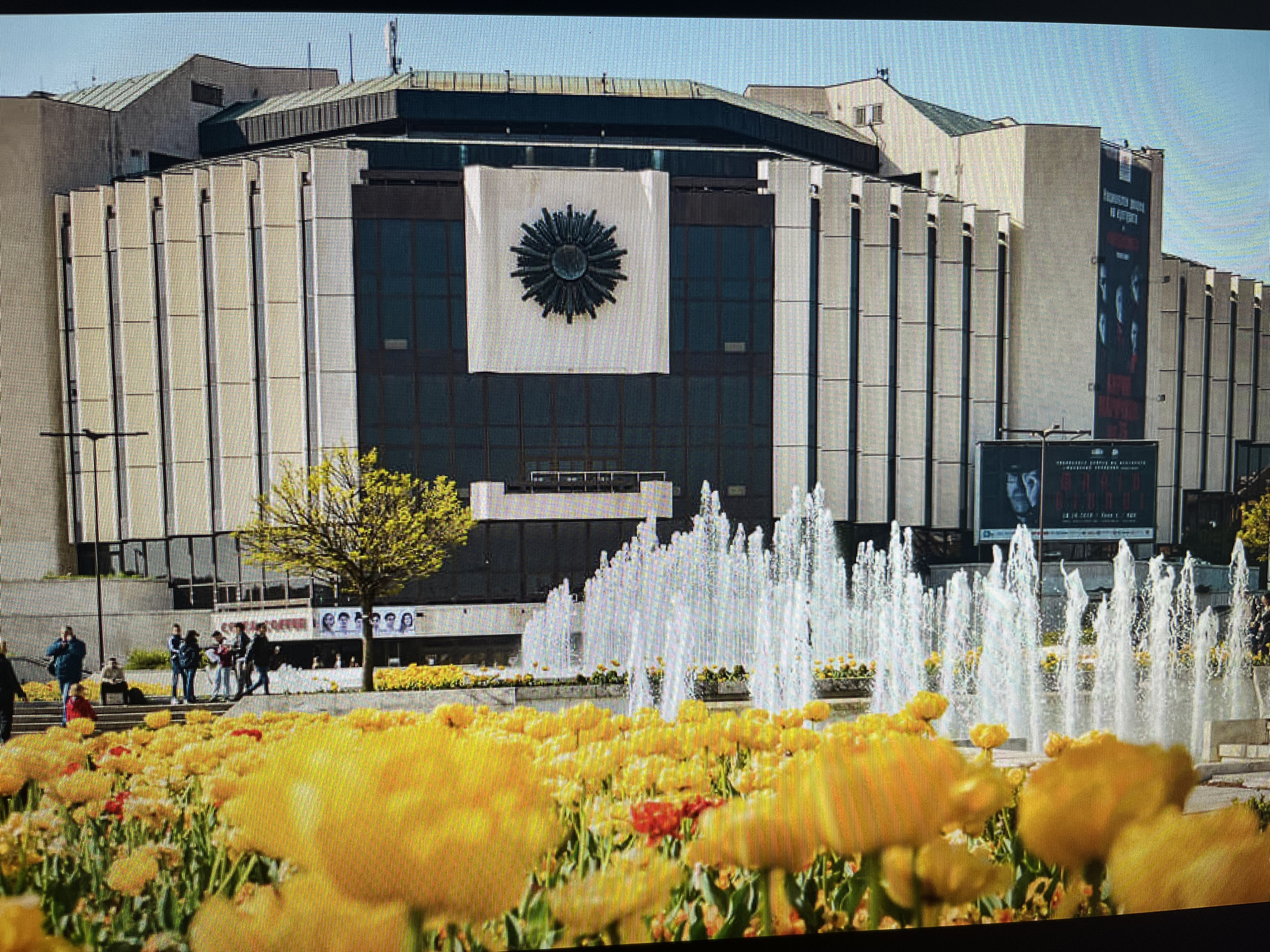 The image displays a vibrant daytime scene in front of a large, modern building, likely in Varna, Bulgaria. In the foreground, a dense array of bright yellow tulips, with a few red ones interspersed, fills the lower portion of the frame, suggesting springtime.
Behind the tulips, a long line of fountains actively sprays multiple jets of water upwards, creating a lively barrier across the midground. Beyond the fountains, several people are visible, casually walking or standing on a paved area, some near a small tree with green foliage.
The main subject is a substantial multi-story building featuring modernist architecture. Its facade is characterized by tall, vertical, light-colored panels alternating with dark, reflective glass sections. A prominent, dark, circular emblem with radiating spikes is centrally displayed on a large white square banner hanging from the upper part of the building's facade. The building has a complex roof design with visible green elements.
On the far right side of the building, a tall, vertical banner in black and red is affixed, featuring text in Cyrillic. While largely indistinct, some elements suggest "Народен Театър" (National Theatre) or similar event information. Below this banner, a billboard displays a human face and more Cyrillic text, with fragmented dates and times like "23.04.2018" and "20:00" indicating an event schedule. The clear, bright lighting suggests a sunny day.