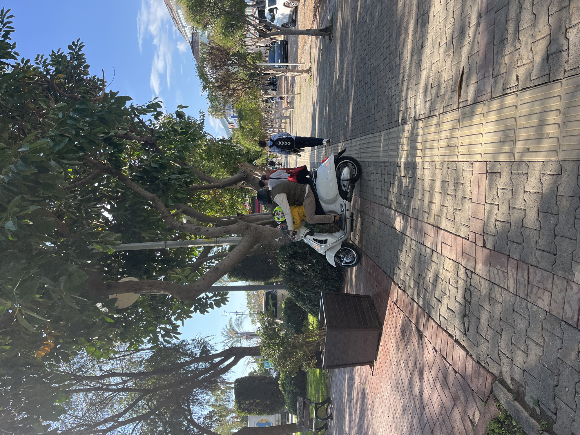 The scene depicts a wide pedestrian pathway in Alanya, Turkey, identified by a visible "ALANYA BELEDİYESİ" (Alanya Municipality) bench on the left. The pathway is constructed from interlocking concrete pavers, predominantly grey, with sections of reddish rectangular pavers on the left and a central strip of yellow tactile paving.
On the left side of the pathway, a green area features manicured shrubs, a dark brown wooden planter containing a small green bush, and a dark park bench. Numerous large trees with green foliage line the path on both sides, casting shadows onto the ground. The background reveals additional trees, palm trees, and multi-story urban buildings under a clear blue sky with sparse white clouds.
In the mid-foreground, a light-colored scooter, possibly a Vespa, is positioned on the right edge of the pathway, partially over the tactile paving. A person wearing a yellow jacket/vest and a patterned helmet is seated as the driver, facing away from the camera, with their right hand on the handlebar. A second person, the passenger, is seated behind the driver, wearing a light-colored top and carrying a red bag. Ahead of the scooter, a male subject walks away from the camera, wearing a blue and white patterned backpack, dark pants, and light-colored shoes. Further down the path on the right, additional pedestrians are visible walking. Two vehicles, a white SUV and a dark sedan, are parked or moving slowly in the background on the far right.