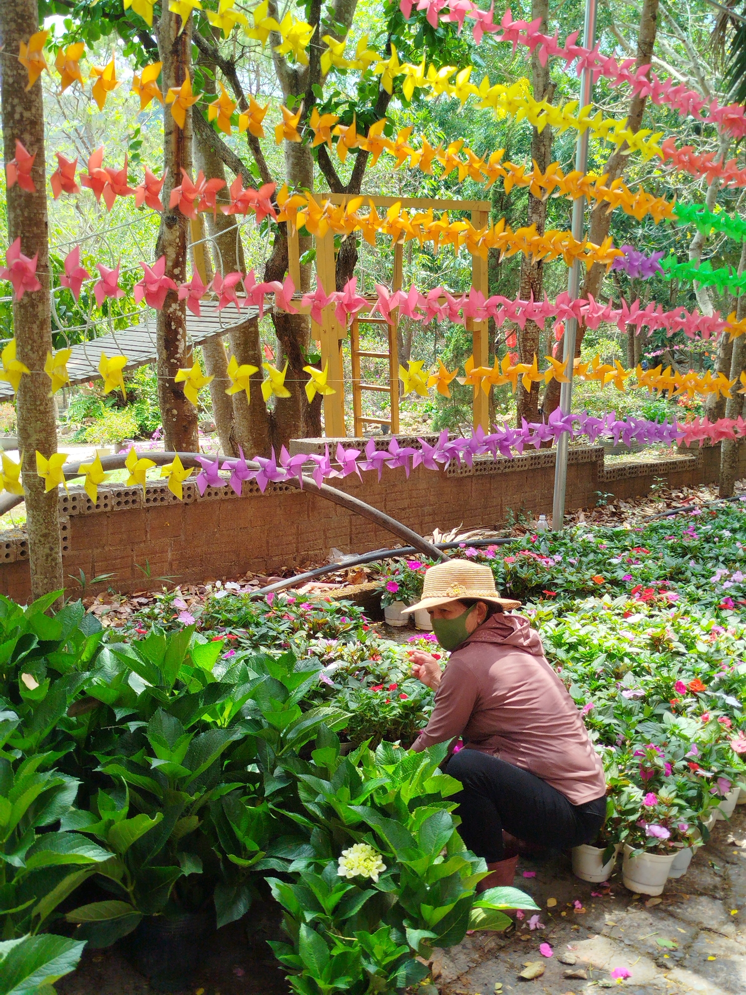 A medium, eye-level shot shows a person tending a garden in Tân Phú, Vietnam. The person, wearing a tan-colored hooded jacket, dark pants, a straw hat, and a green face mask, kneels among the greenery. They appear to be gardening. The garden features large green bushes with flowering plants in pots to the right. Overhead, strings of colorful paper pinwheels—pink, orange, yellow, green, and purple—stretch between trees. A low brick wall is visible in the background. A ladder and suspended bridge are out of focus. The setting is outdoors in daylight.