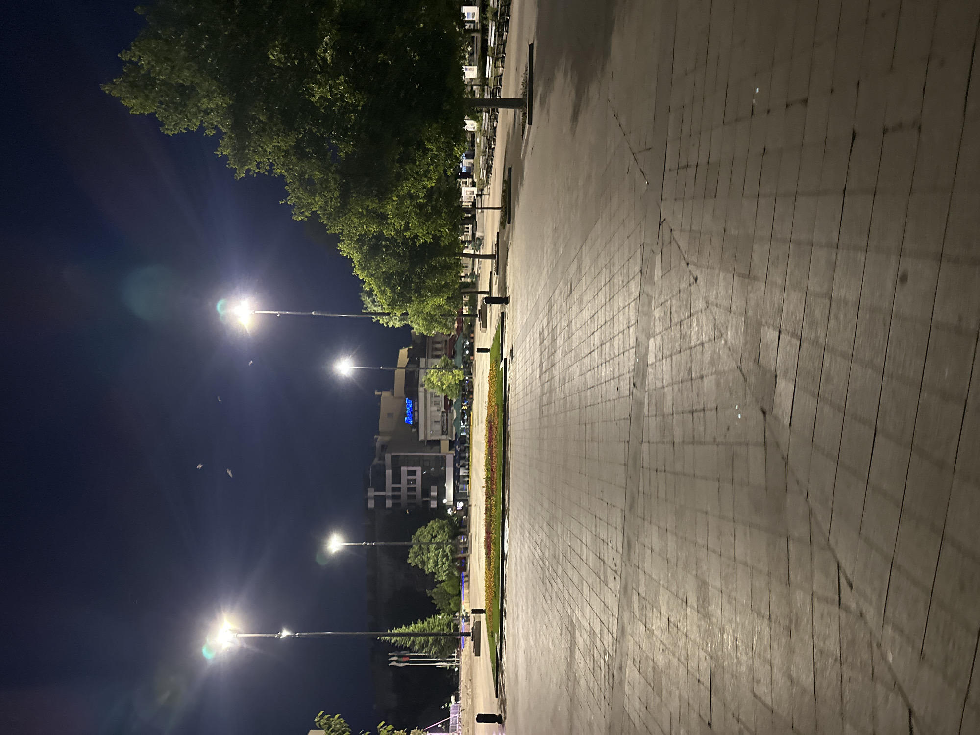 The image depicts a nighttime scene in the city of Ruse, Bulgaria, specifically the pedestrian zone area around the "Beroe" building, which is illuminated by streetlights and building lights. The foreground is dominated by a wide, paved area with a textured, geometric pattern formed by large stone slabs, reflecting ambient light. The paving shows signs of wear and tear, with visible lines and slight damage.
To the left of the paved area, a rectangular flower bed is visible, featuring rows of colorful flowers in shades of red and yellow, bordered by dark material. Beyond the flower bed, several tall, slender lampposts with bright white lights illuminate the scene. Some of these lights create lens flares and glare in the image.
In the mid-ground, trees with full green canopies are arranged along the edge of the paved area and the walkway. The trees are well-lit from below by the streetlights. Further back, buildings line the perimeter of the square. One prominent building, identified by the "Beroe" sign, has multiple stories and is brightly lit, showcasing architectural details. Other buildings in the background are less distinct due to the darkness and distance.
The sky is a deep, dark blue, characteristic of nighttime. There are a few small, white specks in the sky, which could be birds or atmospheric disturbances. In the distance, more trees and the silhouettes of other structures are visible. The overall impression is a public square or plaza at night, with artificial lighting creating distinct shadows and highlights on the ground and illuminating the architectural and natural elements of the urban landscape. There are no people visible in the scene.