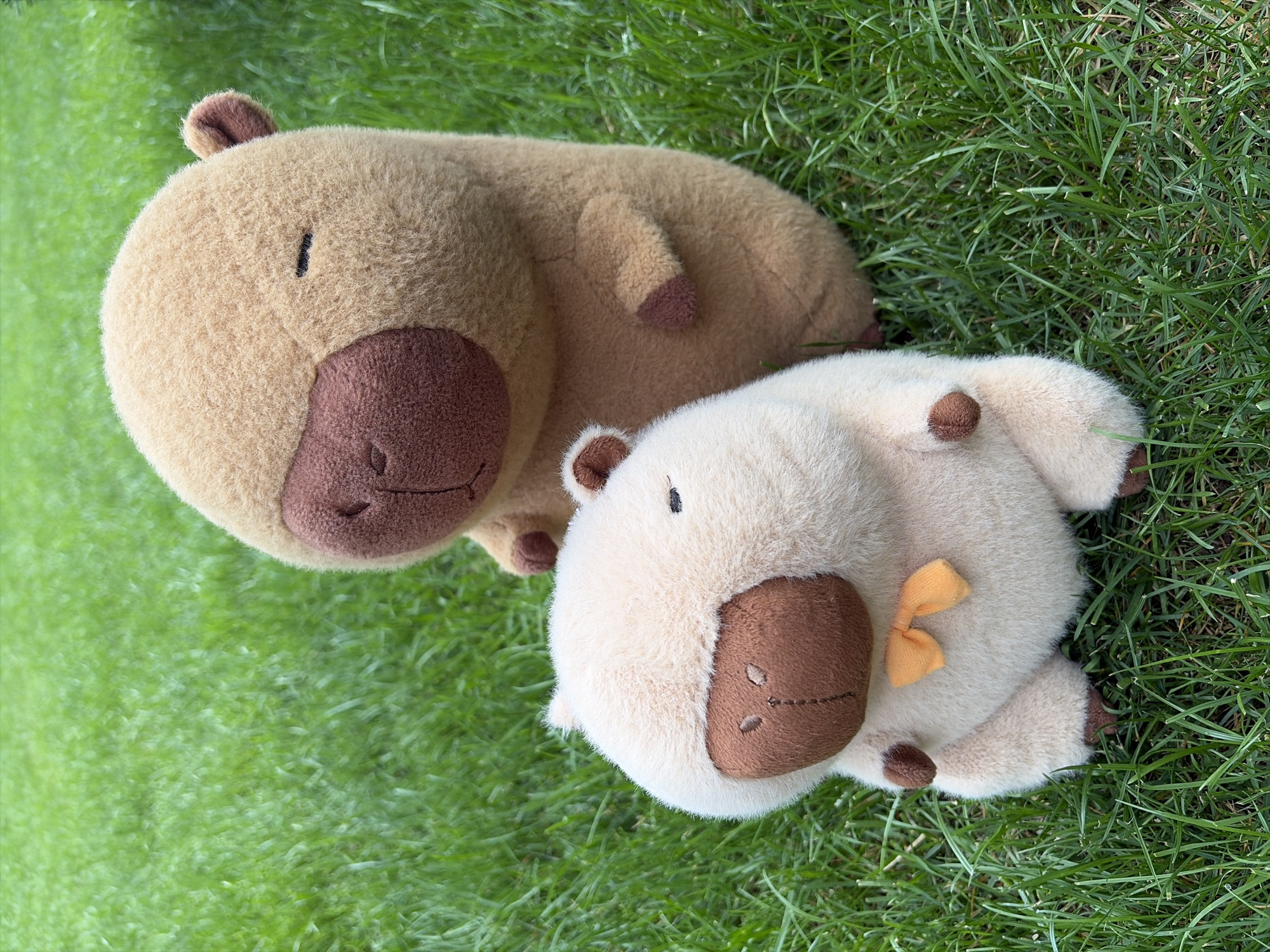 Two plush toys are positioned on a patch of green grass. The toy in the foreground is lighter beige with a brown nose and ears, and is adorned with a small orange bow tie. Behind it, a larger plush toy of a similar design but in a darker brown hue is visible. The background consists of the same green grass, suggesting an outdoor setting. The exact location within Oxentea, Moldova, cannot be determined from the provided image.