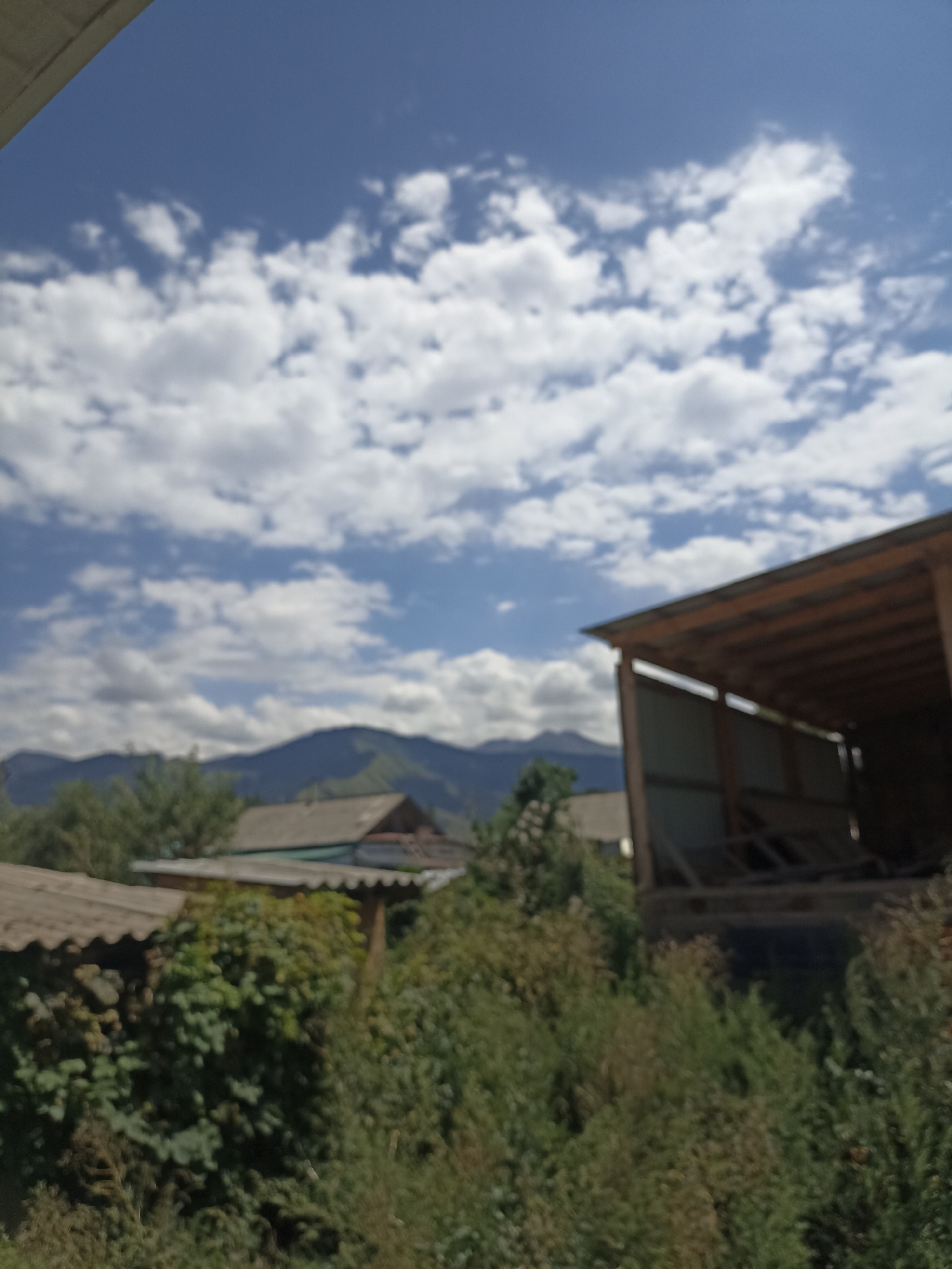 An outdoor, slightly blurred, medium-shot captures a rural scene under a bright, cloudy sky. The image is dominated by lush green foliage in the foreground, obscuring much of the lower half of the frame. Two structures are visible: on the left, a portion of a building with a corrugated roof is partially visible, and on the right, a larger, open-sided wooden structure with a corrugated roof is prominent. In the middle ground, behind the foliage, a simple house with a pitched roof is seen. The background features rolling, verdant mountains under a vast blue sky dotted with white, puffy clouds. The overall impression is one of a sunny day in a mountainous, rural setting, likely a village in Ak-Suu, Kyrgyzstan. There are no people or animals visible in the frame.