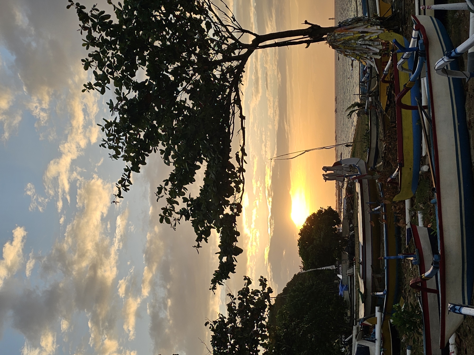 This image captures a sunset scene on a beach in Denpasar, Indonesia. The sky is filled with dramatic clouds painted in hues of orange, yellow, and blue, indicating the setting sun which is visible as a bright orb on the horizon. The foreground is occupied by a collection of traditional Indonesian fishing boats, known as jukung, resting on the sand. These boats are varied in color and design, with some featuring prominent red, yellow, and white accents, and many have outriggers. A large tree with dark green foliage is silhouetted against the sky in the mid-ground, its branches extending over the scene. In the background, the ocean stretches to the horizon, with a few distant boats visible. The beach appears to be a working area for these fishing vessels, with some debris and ropes scattered around the boats. There are no prominent human figures in the image, suggesting a quiet end to the day.