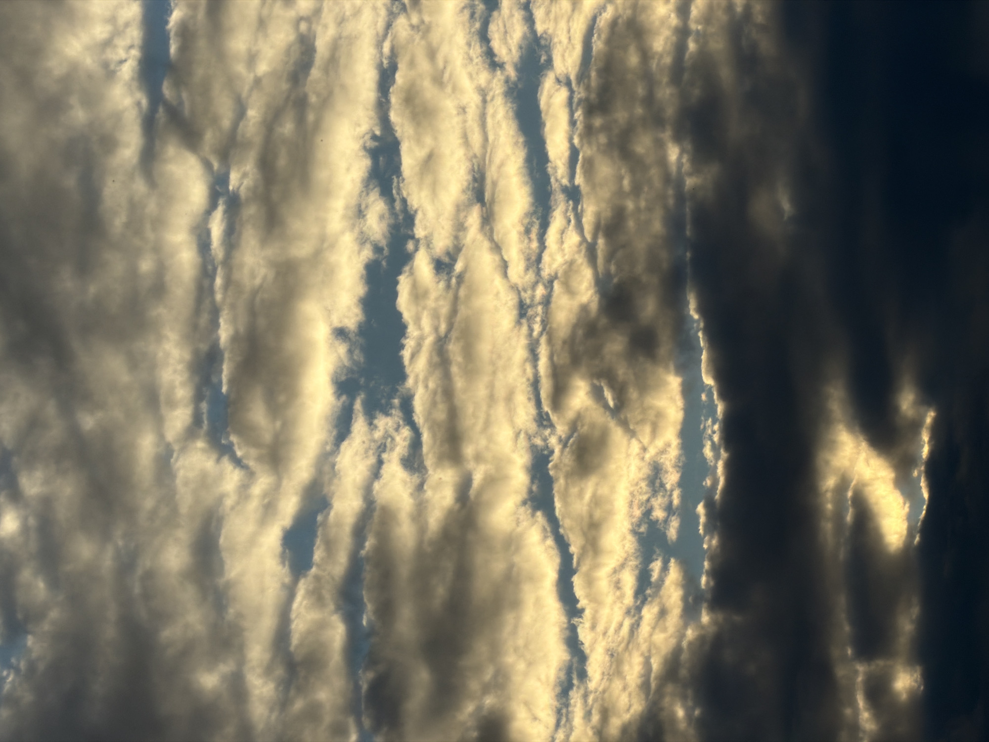 A low-angle shot captures a dramatic sky filled with layered clouds, illuminated by warm, golden sunlight filtering through. The clouds range in color from dark, stormy grays at the bottom to bright, luminous whites and yellows towards the top, creating a sense of depth and movement. Glimpses of a pale blue sky are visible in the gaps between the clouds. The image appears to be a landscape photograph taken outdoors in Chaikovsky, Russia, likely during sunrise or sunset, given the quality of the light. There are no people, animals, or man-made structures visible in the frame.