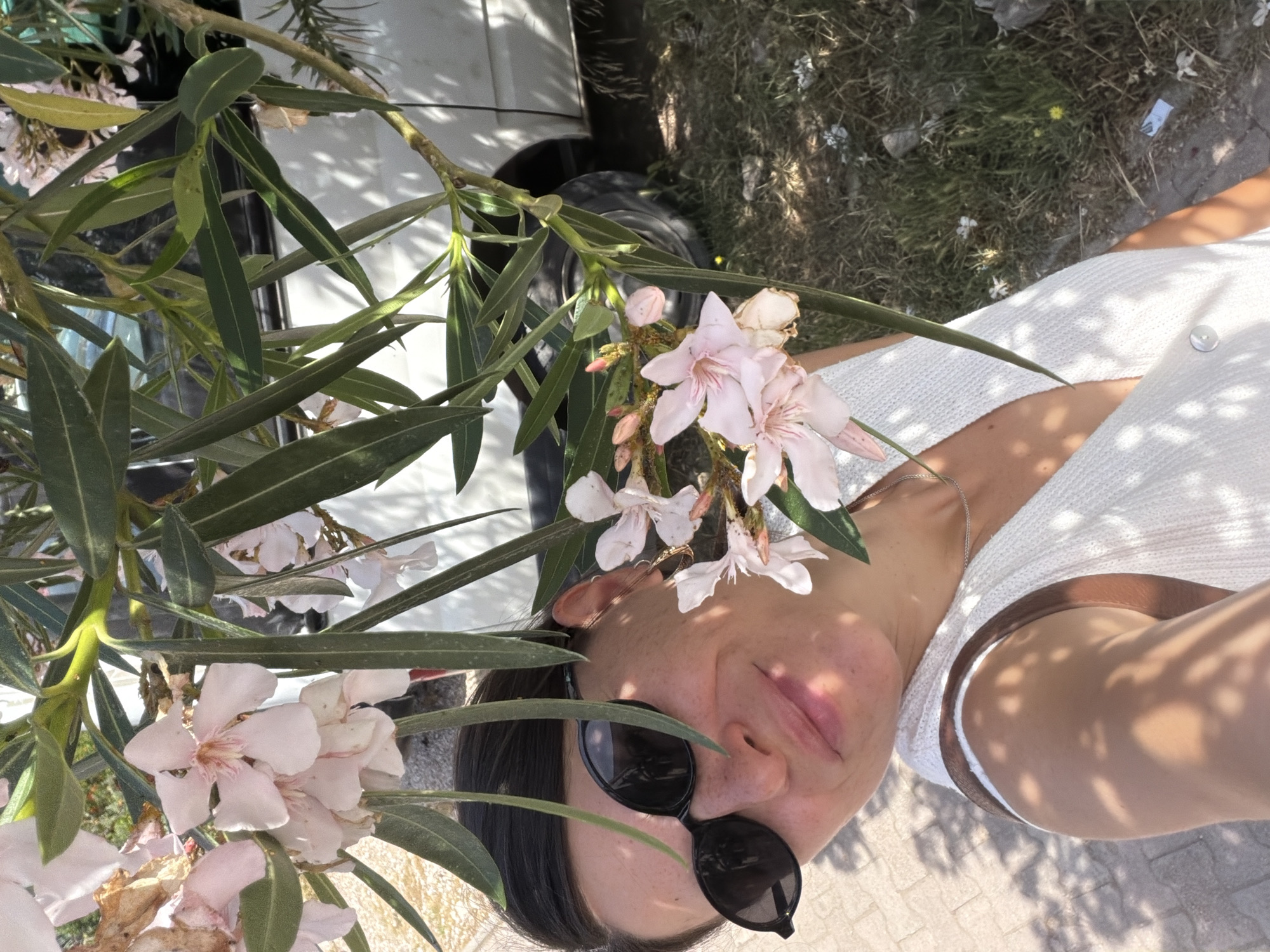 The image shows a person with sunglasses lying on the ground, possibly concrete or paving stones, in an outdoor setting. The person is wearing a white top and has a silver necklace. The foreground features a flowering plant, likely oleander, with pink and white blossoms and green leaves. Behind the plant, a portion of a white car is visible. The background consists of grass and other vegetation. The location is likely Budva, Montenegro, but that detail is not visually verifiable within the image itself.