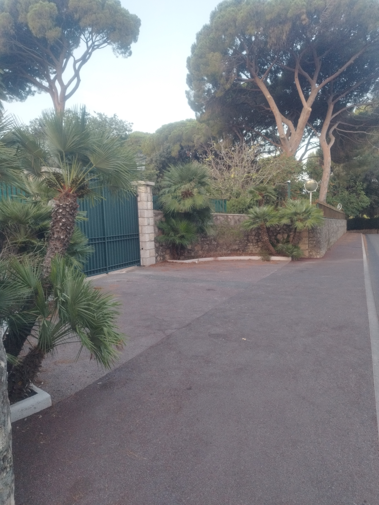 The image captures a street scene in Antibes, France, on an overcast day. In the foreground, a paved road leads into the frame from the right. To the left of the road, a low stone wall is visible, topped with greenery and several palm trees. Beyond the wall, a large, dark green metal gate stands closed, flanked by stone pillars. Behind the gate, more foliage and tall trees are discernible. The overall impression is one of a private residence or property entrance, surrounded by lush vegetation characteristic of the French Riviera.