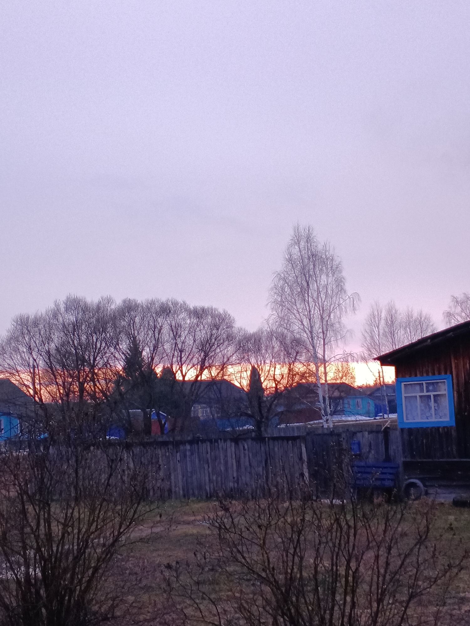 The image depicts a rural or suburban scene in Красный Маяк, Russia, during twilight or sunset. The sky exhibits a gradient of purple and orange hues. In the middle ground, a wooden fence runs horizontally across the frame, partially obscuring a row of houses. The houses appear to be single-story structures, some painted in blue. Bare trees with intricate branches are silhouetted against the sky, indicating a colder season. In the foreground, shrubs with thin, leafless branches dominate the lower portion of the image. A small, possibly handmade, blue trailer sits behind the fence. A wooden building with a bright blue window frame is visible on the right side of the image. There are no visible people, actions, or interactions in the scene. The environment suggests a quiet, possibly residential area within Красный Маяк.