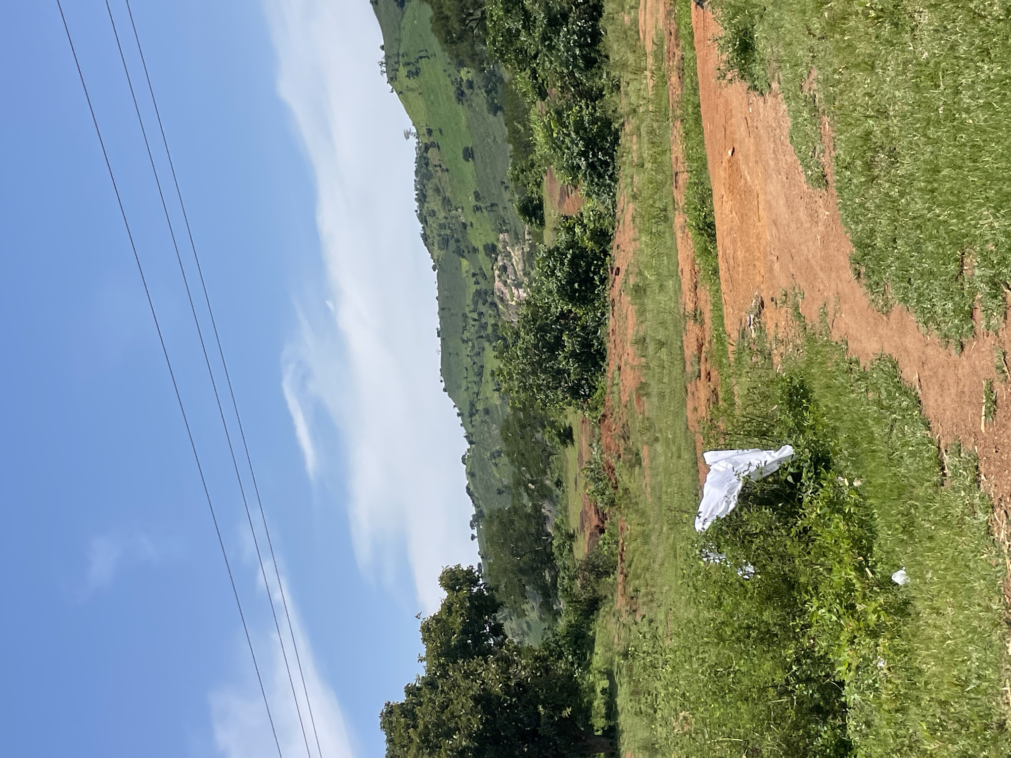 An outdoor scene in Dawa, Nigeria, depicts a rural landscape under a bright blue sky with scattered white clouds. Three parallel power lines stretch across the upper portion of the image. The foreground features a grassy area with a dirt path winding through it. In the middle ground, there are patches of red earth and various types of vegetation, including bushes and trees. A large, white piece of plastic is caught in the foliage on the left side of the path. The background consists of rolling green hills dotted with trees, suggesting a cultivated or semi-wild area. The overall impression is one of a sunny, possibly humid, day in a natural environment.
