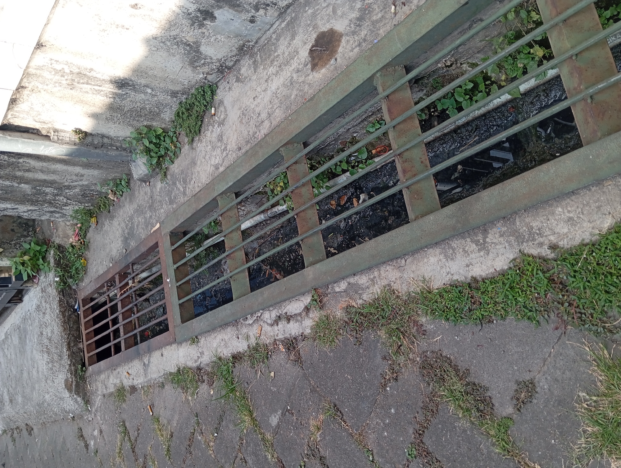 The image shows a metal grate covering a drainage channel alongside a concrete sidewalk. The channel appears to contain murky water and some vegetation. Scattered cigarette butts and small weeds are visible on the sidewalk and near the grate. The scene suggests an outdoor urban environment in Nogosari, Indonesia.