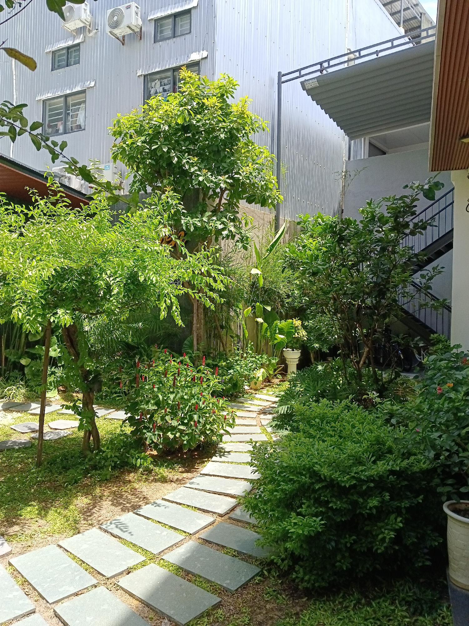 The image depicts a narrow courtyard area adjacent to a multi-story building in Đà Nẵng, Vietnam. The building's exterior is clad in corrugated metal siding, with several windows and two air conditioning units visible. A portion of the building features a gray, corrugated awning extending outwards. Adjacent to the building is a staircase, likely leading to upper floors.
The foreground is dominated by lush green vegetation, including several trees and dense bushes. A stone pathway, composed of irregular, flat gray pavers, winds through the greenery. In the background, behind the foliage and pathway, a white pedestal with a decorative element on top is visible. The overall impression is of a small, verdant outdoor space attached to an urban structure.