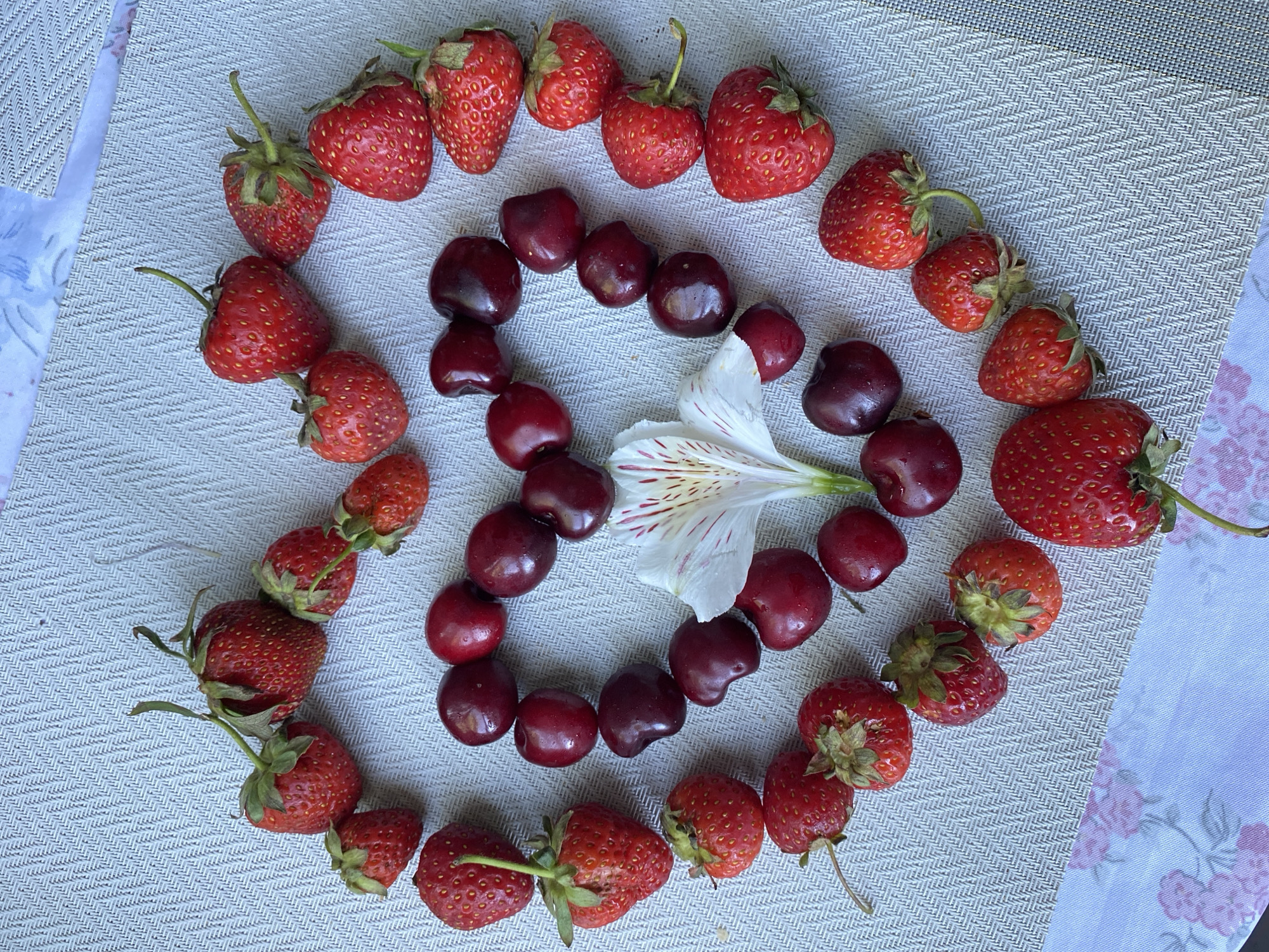 The image displays a heart shape formed by strawberries and cherries on a textured, light-colored surface. A white flower with red stripes is placed in the center of the heart. The strawberries are red and have green stems, while the cherries are a deep red color. The surface appears to be a placemat with a subtle woven pattern, possibly placed on a table with a floral patterned cloth at the bottom edge of the frame. The lighting suggests an outdoor or well-lit indoor environment. The location is not specified within the image itself, therefore Pleven, Bulgaria cannot be determined.