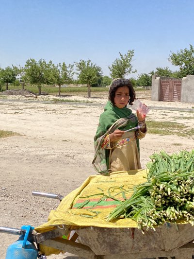 A young girl stands behind a wheelbarrow filled with bundles of green allium vegetables on a bright, sunny day in Deh-E Bagh, Afghanistan. She wears a green shawl over a beige dress with colorful embroidery. She holds a small clear plastic cup containing a pink liquid and a metal utensil, possibly a spoon. The wheelbarrow is covered with a yellow cloth. A blue propane tank is attached to the wheelbarrow frame. The background shows a dirt road, green trees, and a building with a wooden gate.