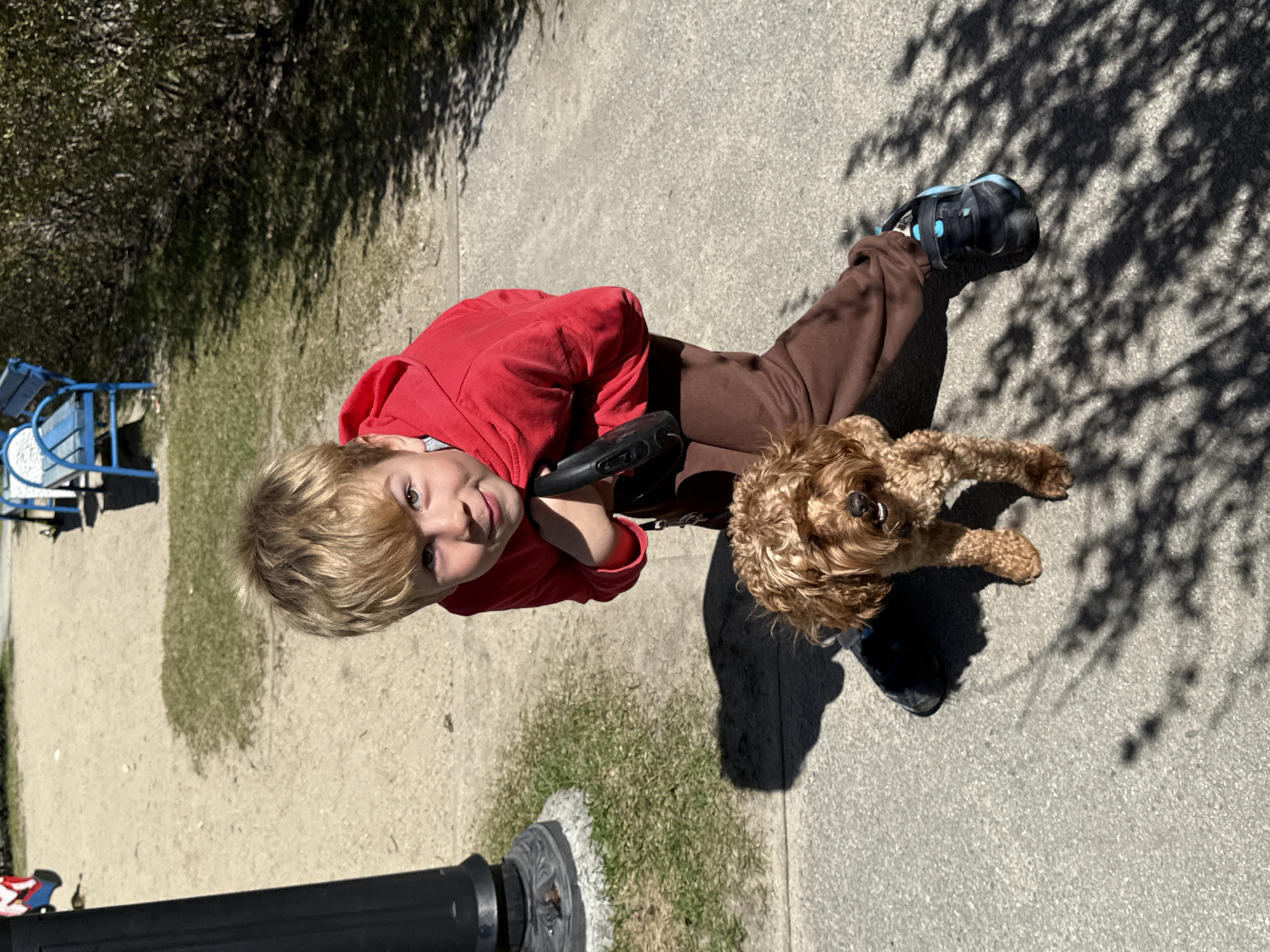 A young boy with blond hair and wearing a red hooded sweatshirt and brown pants is standing on a concrete surface with his dog. He is holding a black dog leash. The dog is a brown, curly-haired breed. A black pole is partially visible in the lower left corner. Behind the boy, there is a grassy area, a blue metal chair, and bushes. The scene appears to be outside, likely in a park or paved area. Sunlight is casting shadows of trees onto the concrete. I cannot confirm the location is Yekaterinburg, Russia from the image alone.