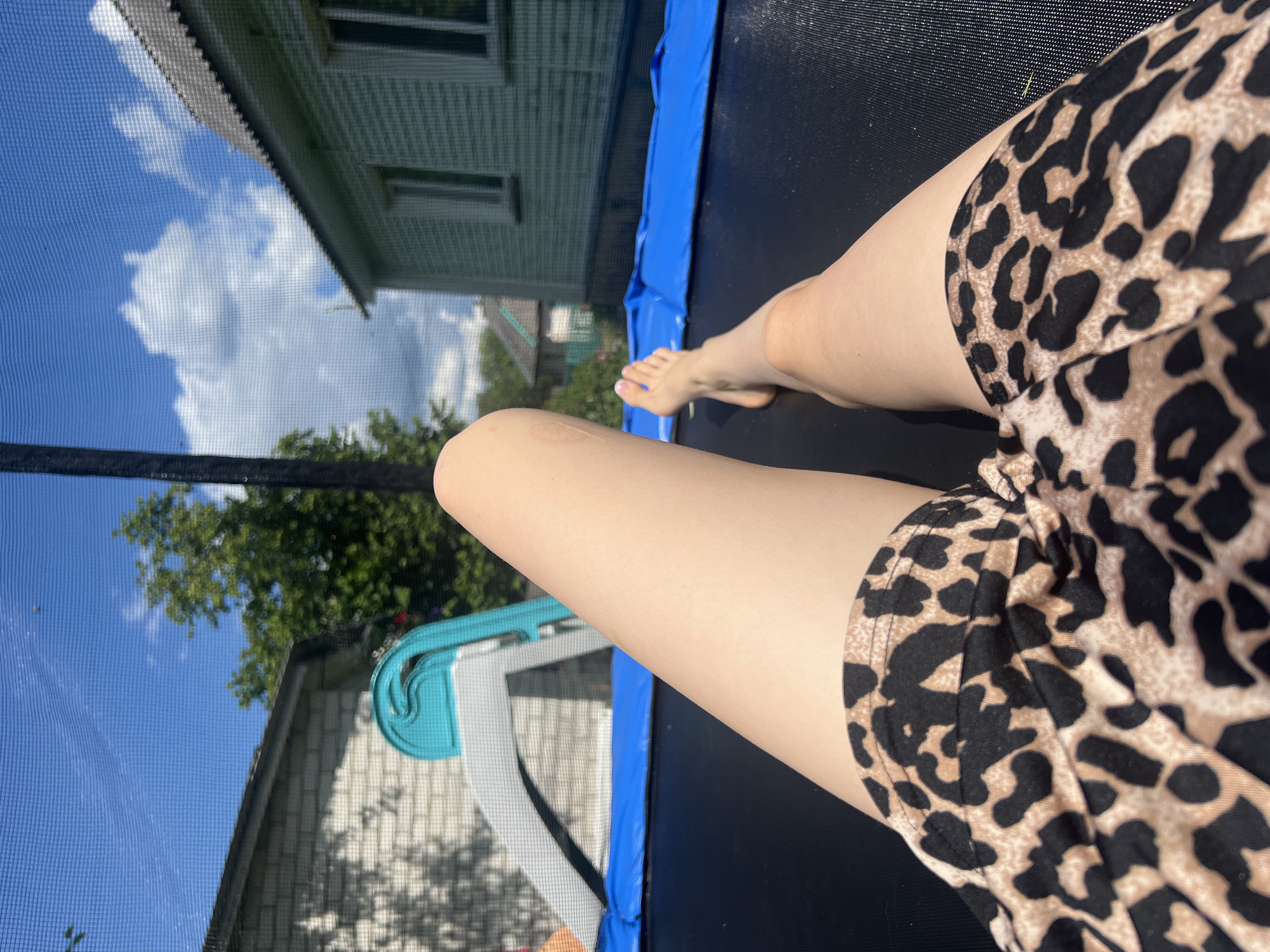 The image shows a close-up of a person's legs and feet on a black trampoline. The person is wearing a leopard-print garment on their lower body. The trampoline has a blue safety pad around its edge. In the background, a house with white siding and windows is visible, along with green trees and a bright blue sky with white clouds. The scene appears to be outdoors during the daytime, suggested by the bright sunlight and shadows. The overall mood seems relaxed and summery, possibly indicating leisure activity. There is no visible text in the image.