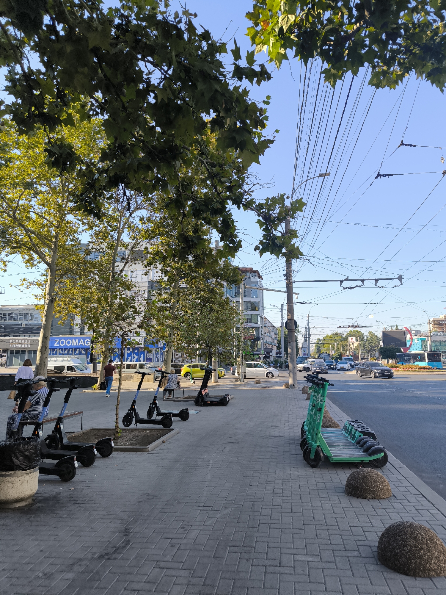 The image captures a street scene in Chișinău, Moldova, likely during daylight hours. In the foreground, a row of parked electric scooters is visible on a paved sidewalk. To the left, more scooters are parked near a bench where several people are seated, some appearing to be resting. Beyond the sidewalk, a multi-lane road is busy with traffic, including cars and what appears to be a public bus. Buildings line the street, featuring a mix of modern architecture with large windows and older structures. Trees with green foliage are interspersed along the sidewalk and street, providing shade. Overhead, a complex network of power lines and trolleybus wires crisscrosses the sky, indicating a common urban utility infrastructure. The overall atmosphere is that of a typical urban environment with active transportation and commercial activity.
