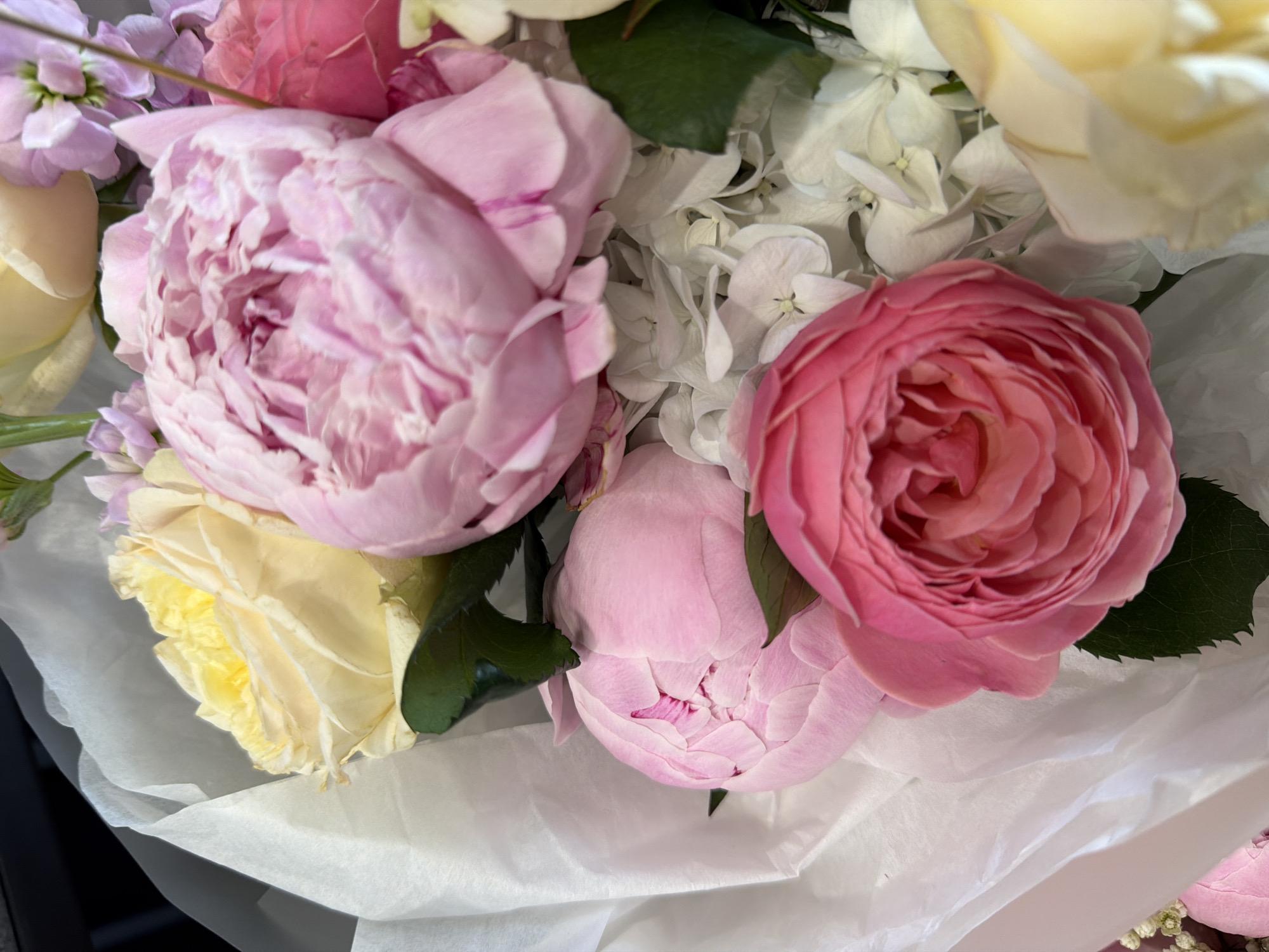 A close-up, overhead shot features a bouquet of delicate pink and yellow flowers, possibly peonies and roses, artfully arranged with white tissue paper. The blooms are a mix of tightly budded and fully open flowers, showcasing layers of soft petals. Hints of pale green leaves peek through the floral arrangement. The background is blurred, but suggests a dark, possibly indoor setting.