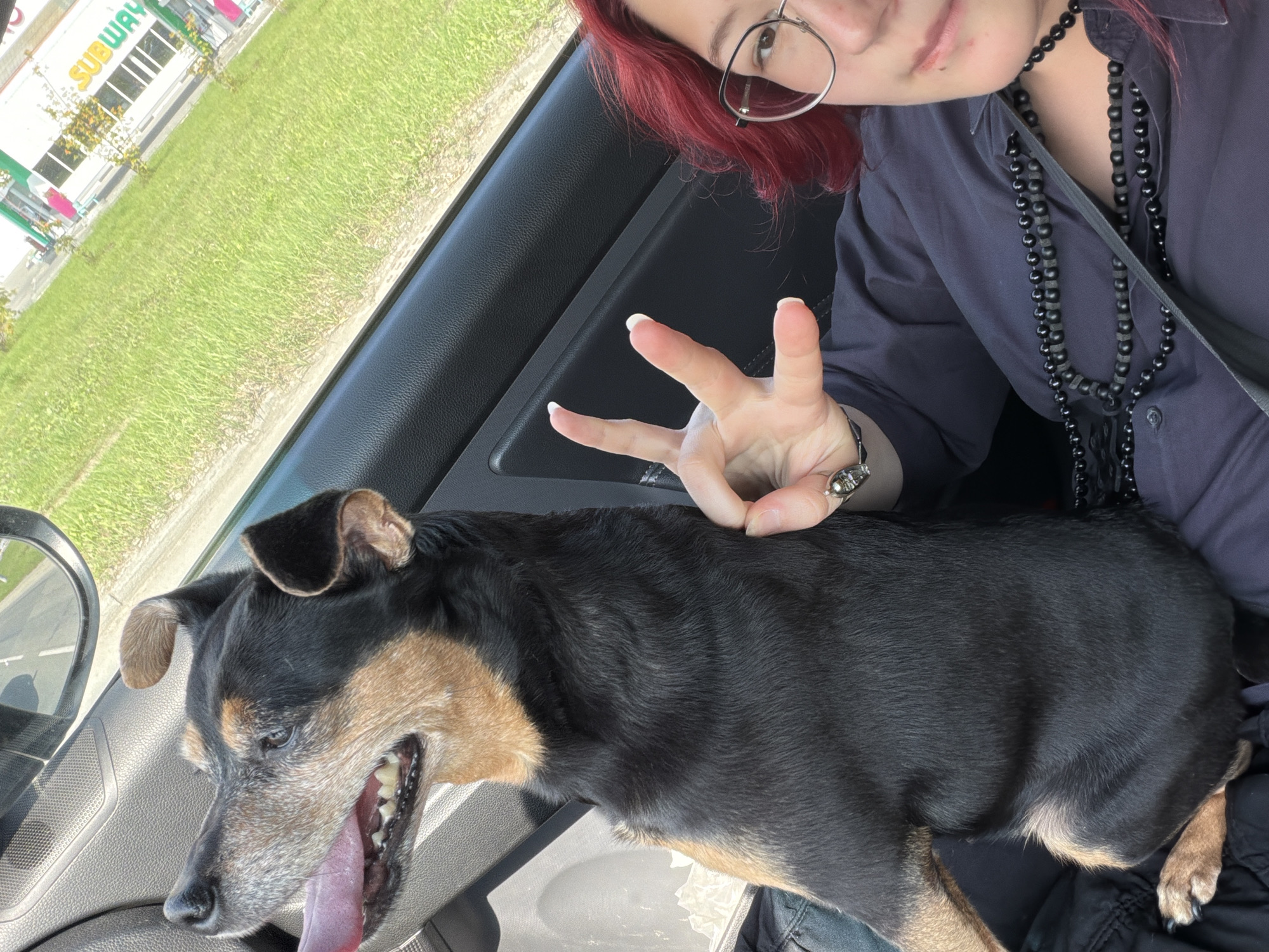 A medium shot shows a person with bright red hair and glasses inside a car. They are wearing a dark blue collared shirt and a beaded necklace, and they are holding up two fingers in a peace sign. A dog with black and tan fur is sitting next to them, with its tongue hanging out. The car is parked next to a grassy area with a Subway restaurant in the background.