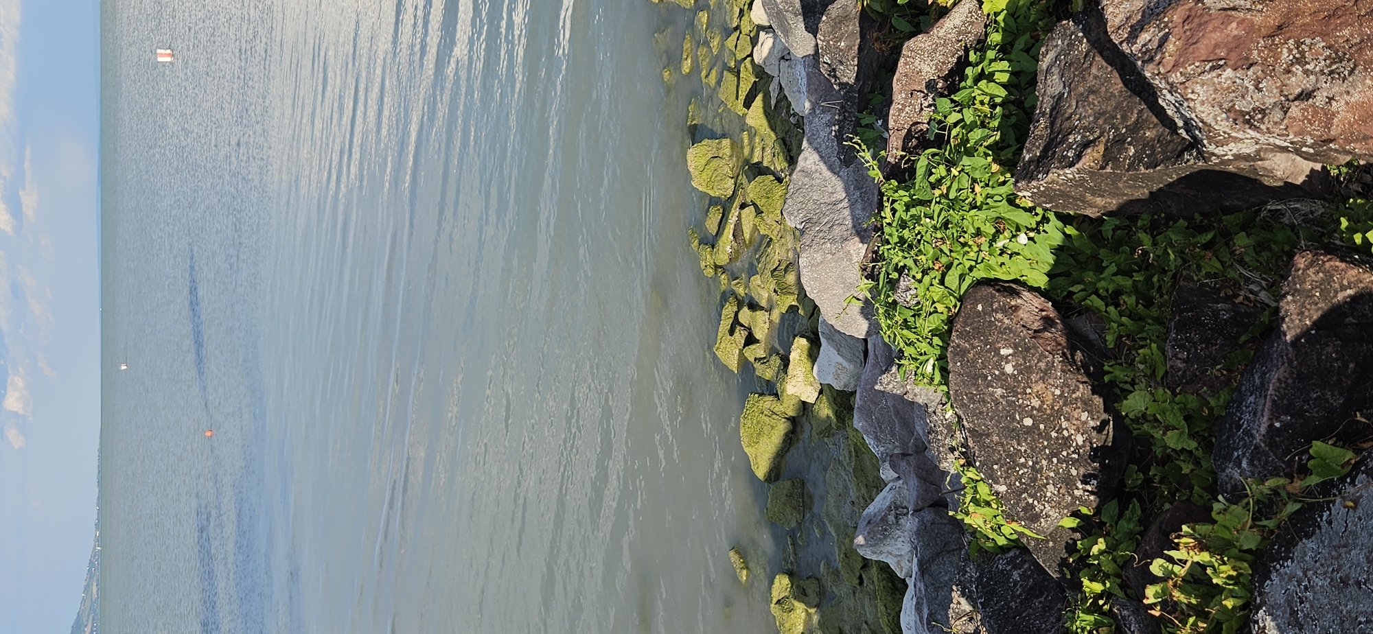 The image depicts a rocky shoreline with lush green vegetation growing amongst the stones. In the background, a wide expanse of calm water stretches towards the horizon under a partly cloudy sky. Two buoys are visible in the water, one orange and round, and another rectangular with red and white markings. The scene is likely Balatongyörök, Hungary, given the characteristic appearance of Lake Balaton's shore.