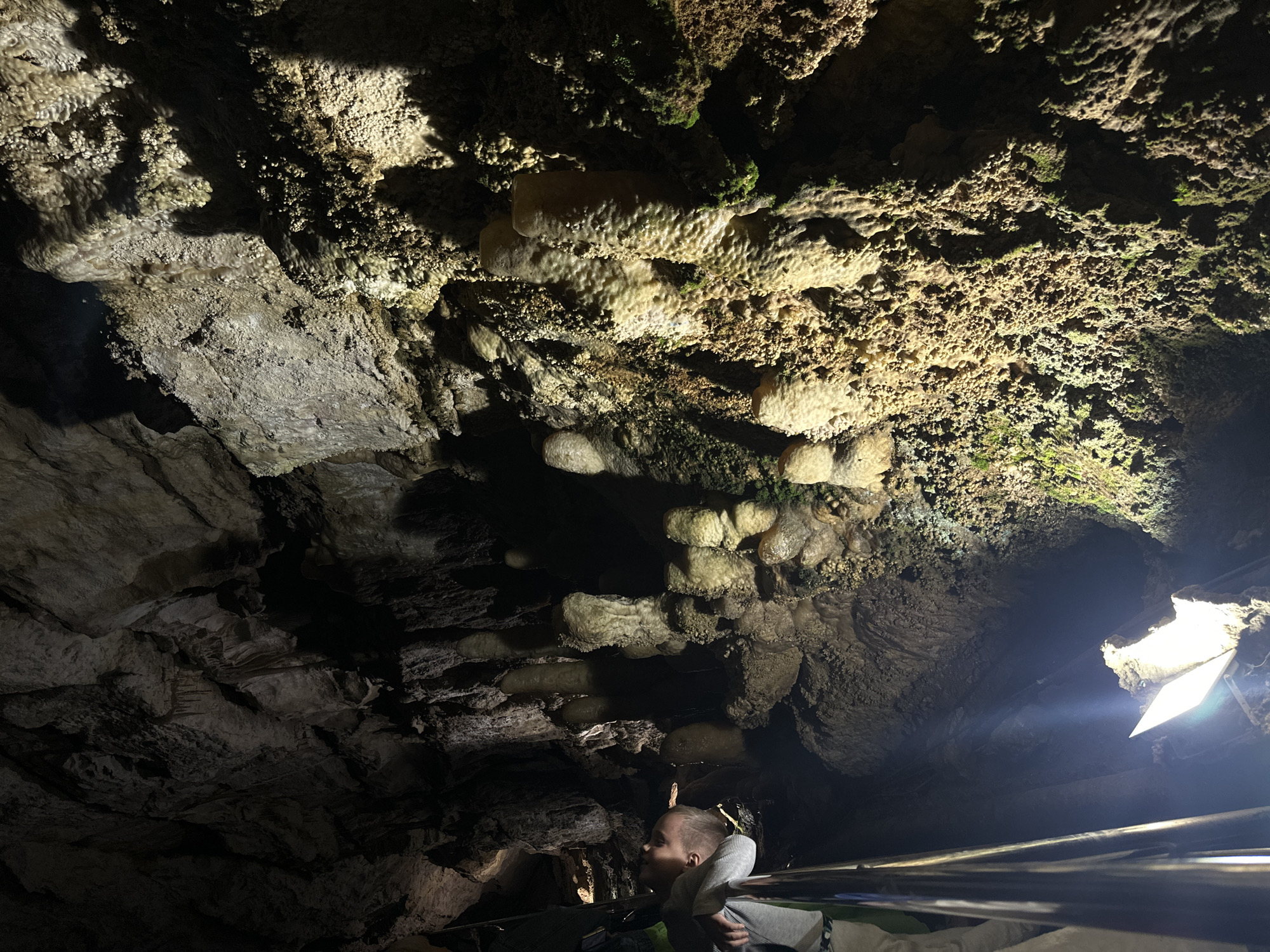 The image depicts the interior of a dimly lit cave, characterized by stalactites and stalagmites formations. The cave walls and ceiling are rough and textured, with some areas illuminated by artificial light sources, creating strong contrasts and shadows. In the foreground, a young boy with blond hair is leaning over a metal railing, looking towards the formations. He is wearing a gray and white striped shirt and appears to be part of a tour group, as suggested by the railing and the lighting, which is typical for managed cave attractions. The overall environment is natural and geological, with moss and other organic growth visible on some surfaces. The image does not contain any information that would allow for its specific location within Khostinskiy, Russia.