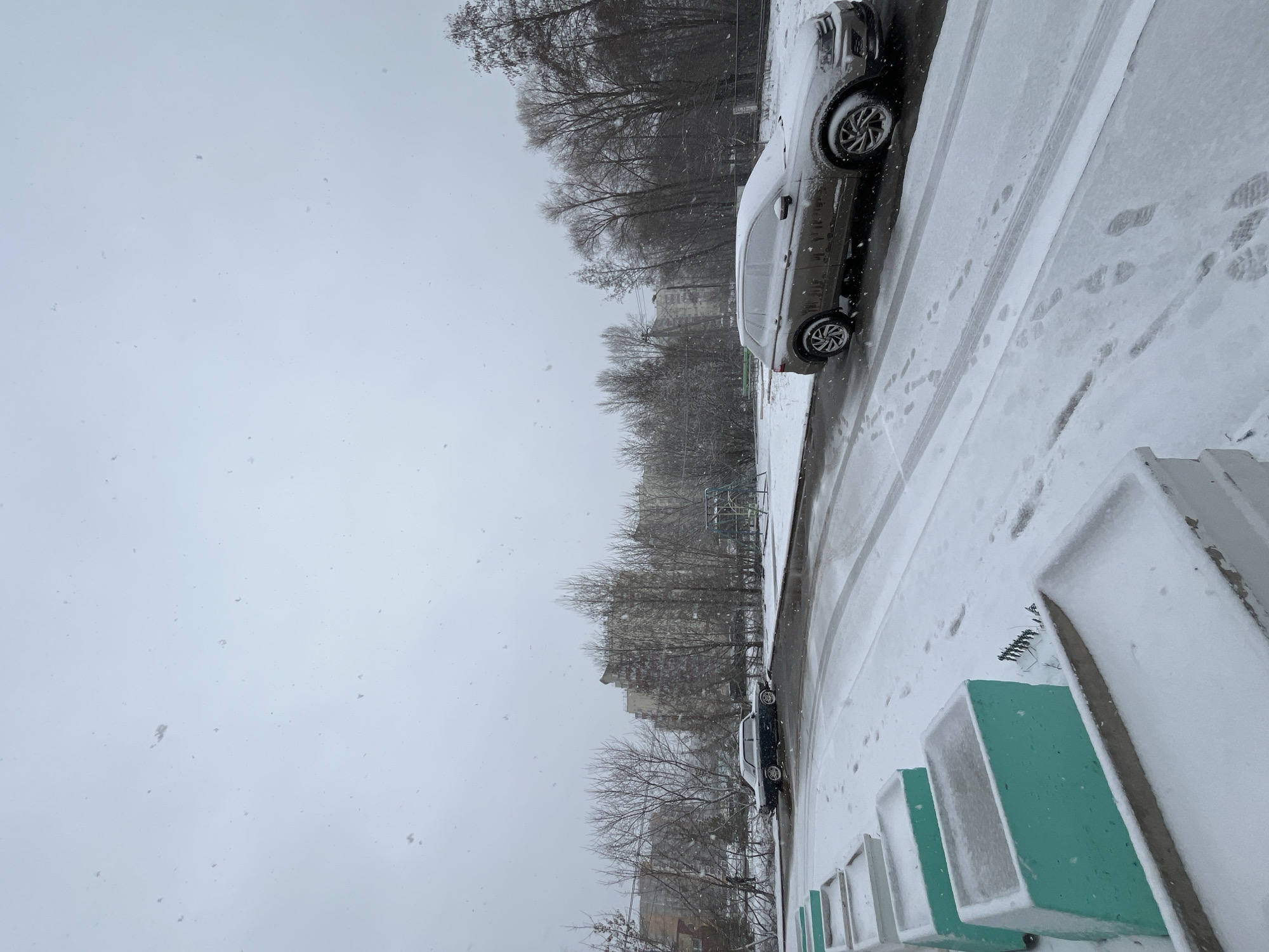 The image shows a snowy, overcast scene in what appears to be a residential area in Chaikovsky, Russia. A line of parked cars is partially covered in snow on the right of the frame. The ground is covered in snow, with visible footprints. A row of green and white concrete structures, possibly benches or planters, is in the lower right corner. Bare trees line the background. Buildings are visible behind the trees, suggesting an urban setting. Snow is falling.