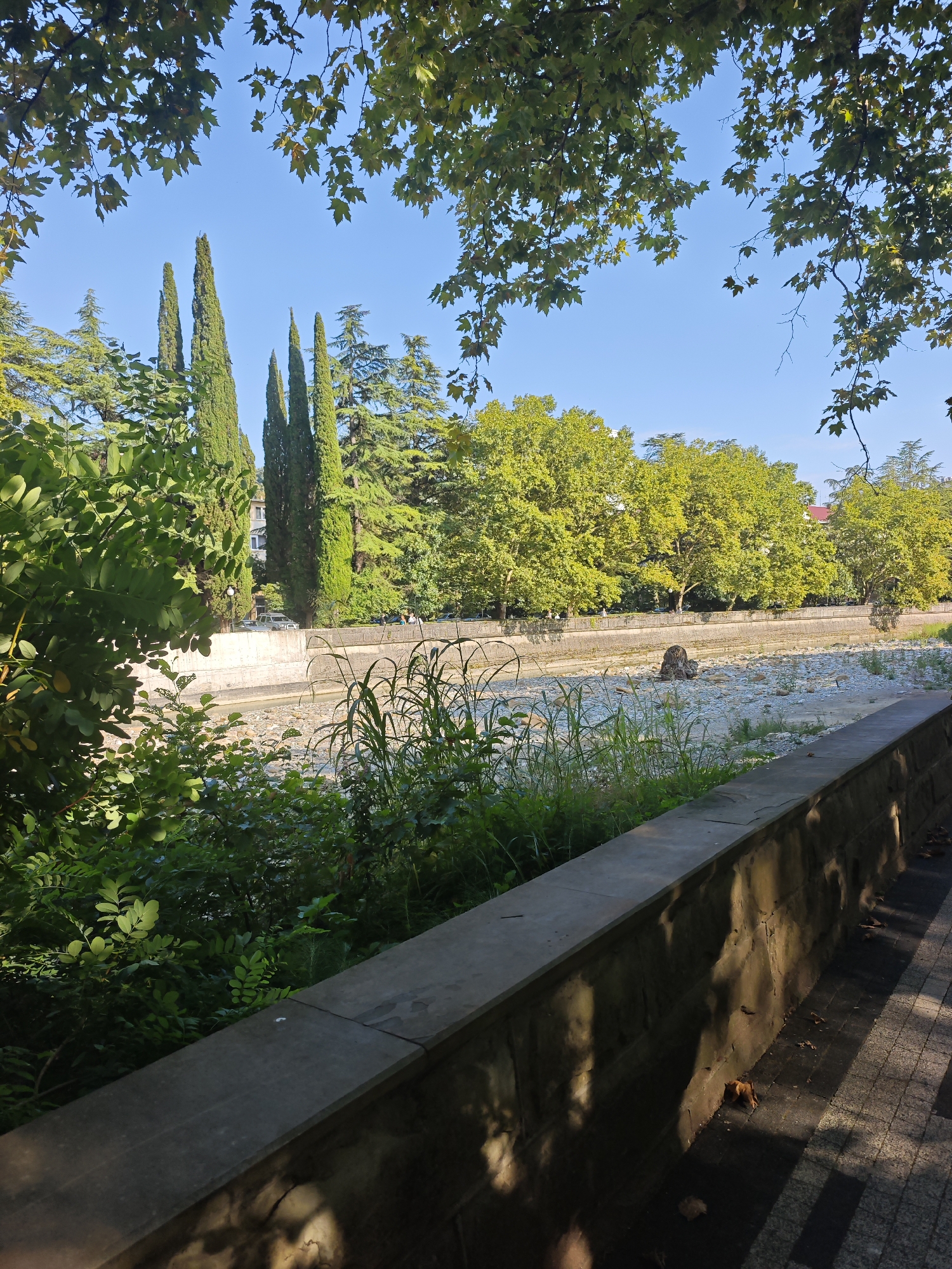 This is a photograph of a sun-dappled park scene in Sochi, Russia. In the foreground, a stone wall separates a paved walkway from a dry riverbed. The riverbed is filled with smooth stones and scattered vegetation. Beyond the riverbed, a row of lush green trees lines the opposite bank. Tall, slender cypress trees stand out against the bright blue sky, and leafy branches from overhanging trees frame the top of the image. The sun is casting long shadows across the walkway, suggesting it is either early morning or late afternoon. The overall atmosphere is peaceful and serene, with the natural beauty of the park being the primary focus. There are no people or specific objects that stand out, beyond the natural elements of the park.