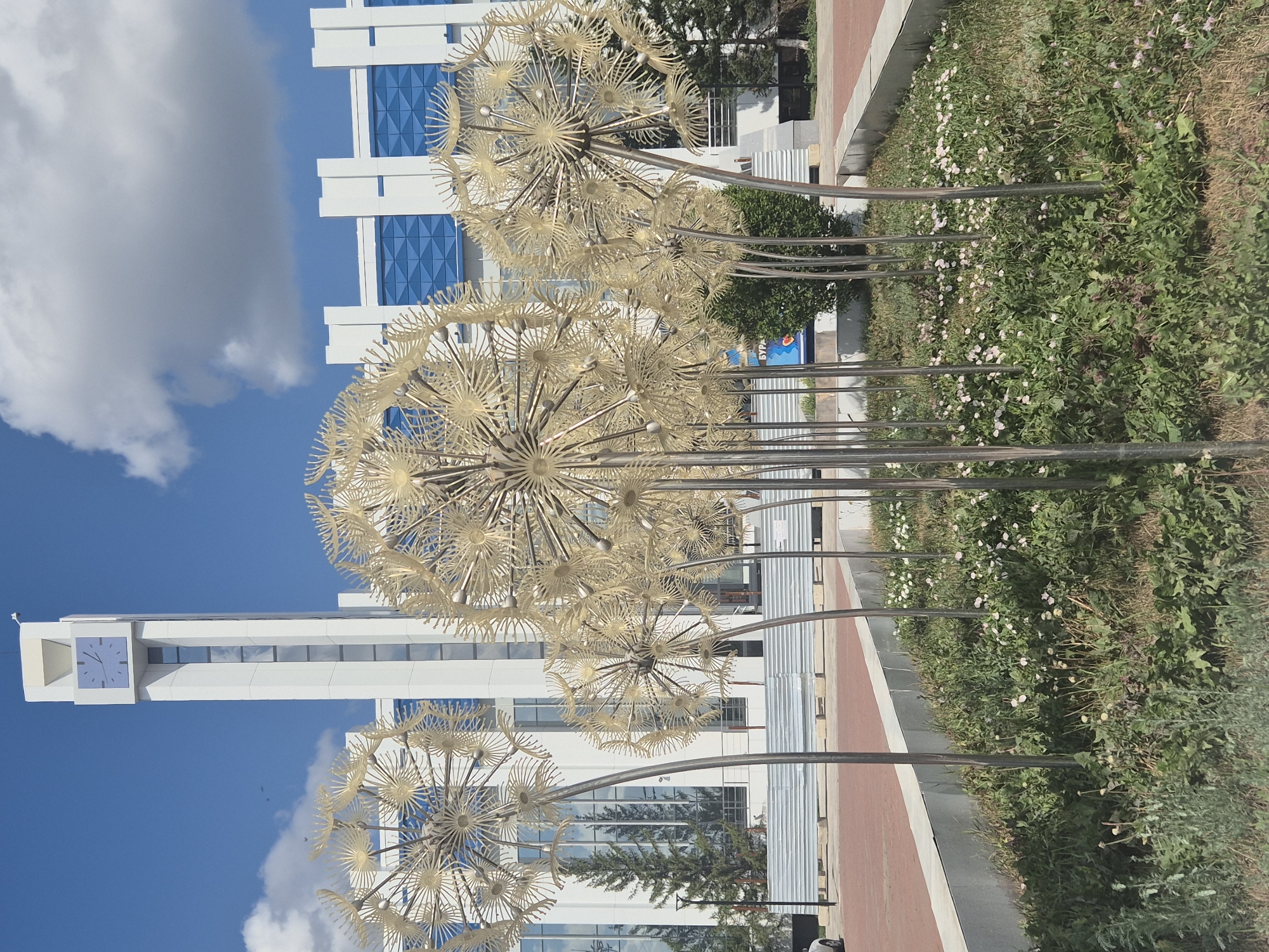 The image depicts an outdoor scene in front of a modern building with a tall clock tower. In the foreground, there are several large, stylized dandelion sculptures made of a metallic material, appearing golden or brass. These sculptures are planted in a garden bed filled with green foliage and small white and pink flowers. Behind the sculptures, the modern building features a white facade with blue geometric patterned windows. The clock tower, part of the building, is white and has a visible clock face with blue hands. The sky is blue with scattered white clouds. To the left of the building, a coniferous tree is visible. In the background, there is a construction fence and some wooden pallets. The overall environment appears to be a public space, possibly a plaza or park area in the city of Kokshetau, Kazakhstan, given the context of previous images. There are no people or animals visible in the frame.