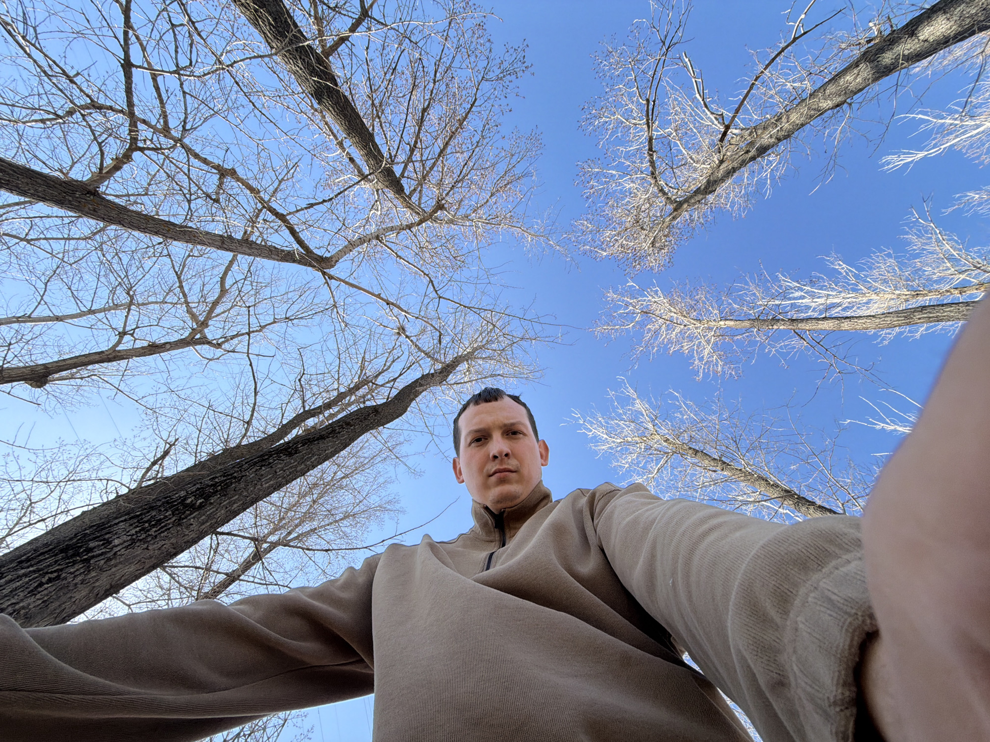 The image is a low-angle selfie of a man wearing a tan quarter-zip sweatshirt. The man has dark hair, fair skin, and is looking directly at the camera. Behind him and around him are bare tree branches against a clear blue sky. The absence of foliage indicates it is likely winter or early spring. The location is not definitively identifiable as Chaikovsky, Russia, solely from the visual information provided.