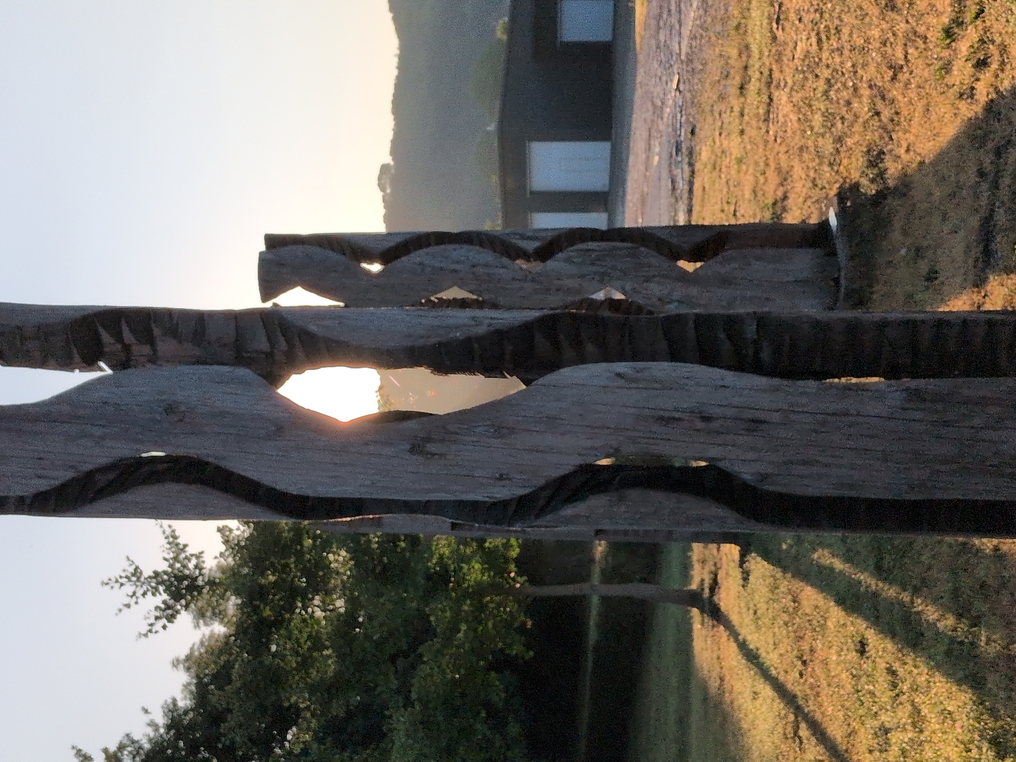 The image shows a close-up of carved wooden sculptures in an outdoor setting. The sculptures are tall, roughly hewn, and have a swirling, organic pattern carved into them, creating openings and revealing shadowed interiors. The wood appears weathered and aged. In the background, the sun is setting or rising, casting a warm glow and long shadows across a grassy area. Behind the grass, there is a dark building with white garage doors, and further in the distance, rolling hills are visible under a clear, light-colored sky. The scene suggests a rural or park-like environment. The location is identified as Rastenberg, Germany. There are no people visible in the image.