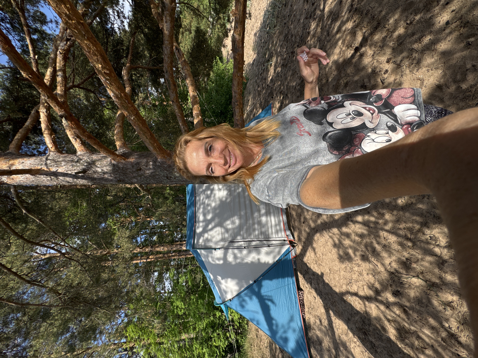 A woman with light-colored hair is captured in a cheerful selfie, smiling directly at the camera. She is wearing a grey t-shirt featuring Mickey and Minnie Mouse characters, with the word "Disney" visible below Mickey. A gold chain is around her neck. Her right hand is raised, holding a small, translucent object. She appears to be lying down or reclining outdoors.
The setting is a sunny, natural environment, likely a forested area in Zelenaya Roshcha, Russia. Numerous pine trees with distinctive reddish-brown trunks and green foliage are prominent, casting long, strong shadows across the sandy ground, indicating bright daylight. A blue and white tent is partially visible behind the woman, suggesting a camping or recreational activity. The overall mood is relaxed and pleasant.