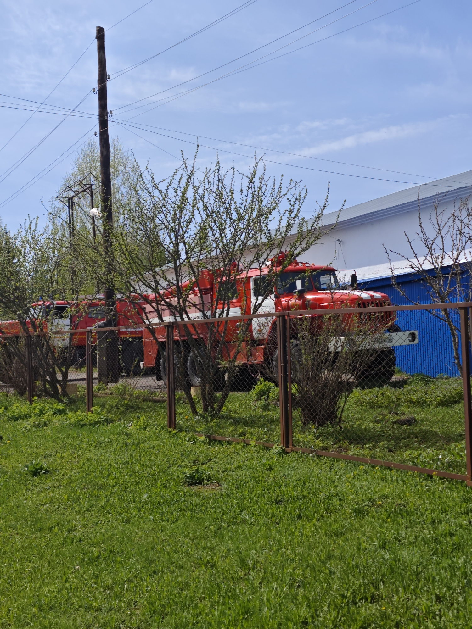 The image shows a partly obscured view of two red and white fire trucks parked behind a rusted metal chain-link fence. Trees with early spring buds are planted near the fence, adding to the obscured view of the trucks. A wooden utility pole with electrical lines runs vertically through the upper left of the frame. A building with a white and blue corrugated metal exterior is visible behind the trucks on the right side of the image. The foreground is green grass. The sky is light blue with scattered clouds. This scene likely occurs in the Большая Уса, Russia, based on contextual information.