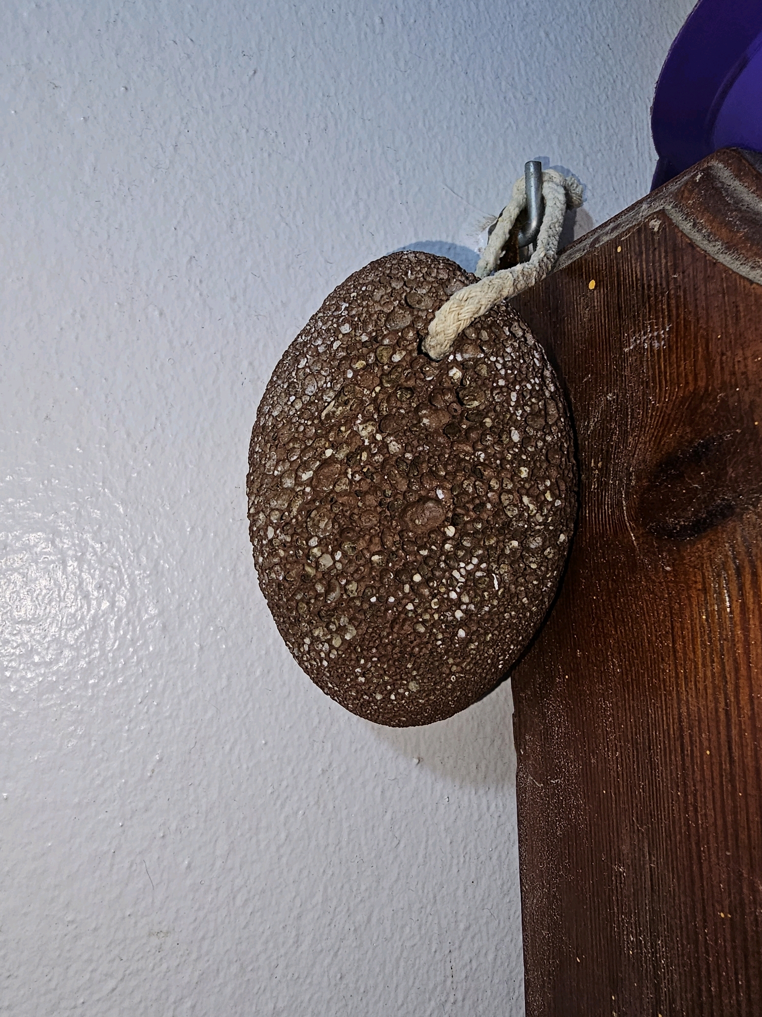 A close-up, eye-level shot shows a pumice stone with a rough, porous surface hanging from a hook attached to a white textured wall. The pumice stone is oval-shaped and suspended by a thick, light-colored rope. To the right of the pumice stone is a dark wooden surface with visible grain and a knot. A purple object is partially visible in the upper right corner of the frame. The scene appears to be indoors, possibly in a bathroom or storage area. The lighting is soft, casting minimal shadows. The image does not provide any information about the city of Batna, Algeria, or any specific location within it.