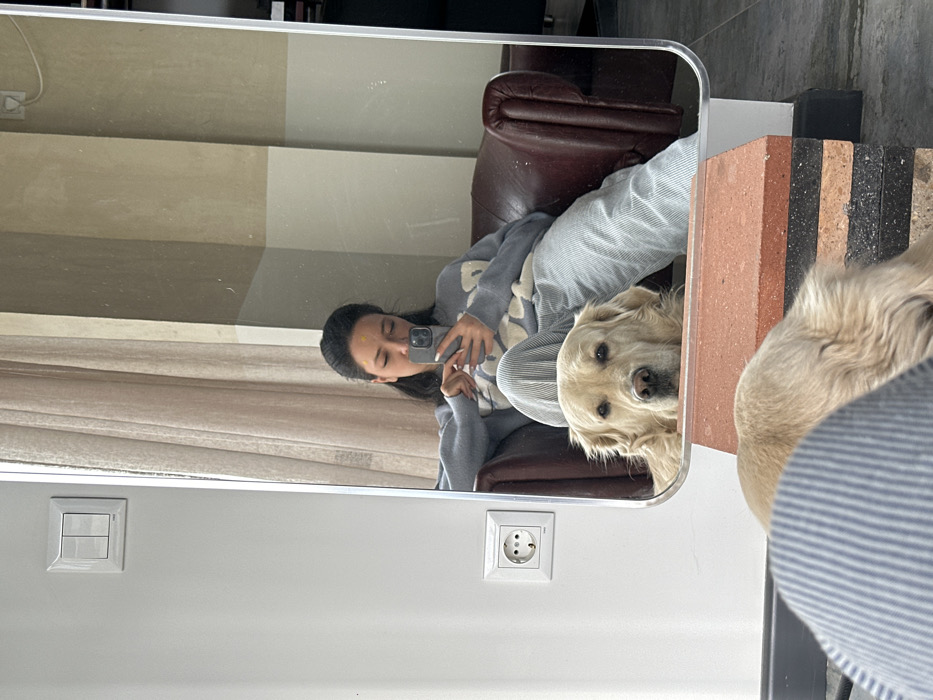 The image depicts an indoor scene in Yerevan, Armenia, captured through a vertical mirror. The primary subject reflected in the mirror is a woman with dark hair, wearing a light blue knitted sweater with a lighter pattern and light blue and white striped trousers. She is seated in a dark brown leather armchair, holding a dark-colored smartphone with both hands, appearing to be interacting with the device or taking the photograph. A small yellow mark is visible on her forehead. Positioned beneath the woman in the reflection, and partially in the foreground outside the mirror, is a golden retriever dog. Its head is visible, resting on a stack of reddish-brown and black rectangular blocks, looking directly forward.
To the left of the mirror, a white wall features a white three-pin electrical outlet and a white double light switch positioned above it. The reflected background behind the woman includes a light-colored curtain to the left and a wall painted in vertical sections of light beige and a darker tan hue. The floor visible in the reflection is dark. The foreground of the unreflected image shows a portion of light blue and white striped trousers, consistent with those worn by the woman, and part of the golden retriever's light-colored fur, confirming its presence in the immediate space.