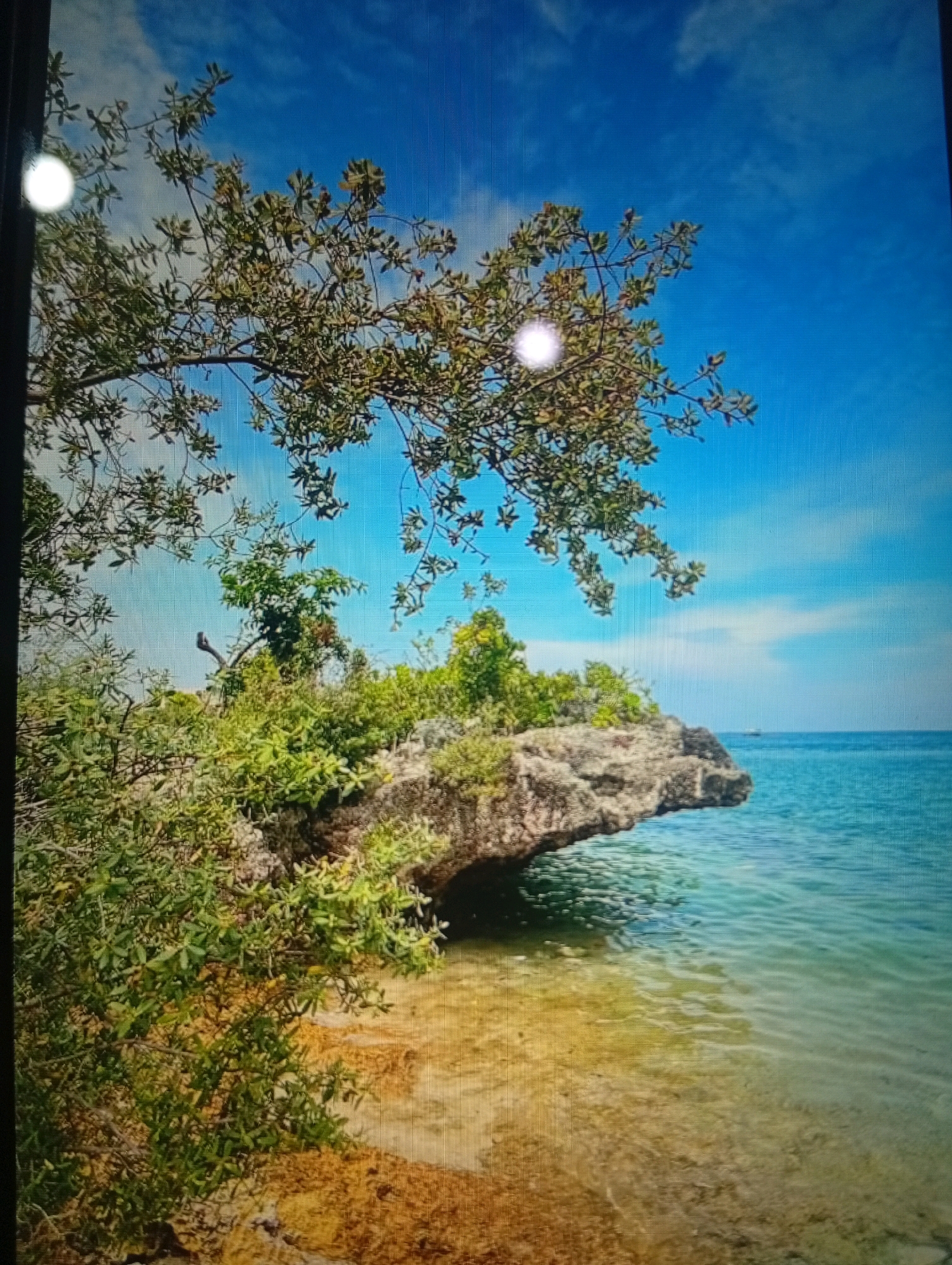 The image depicts a scenic coastal landscape under a bright blue sky with scattered clouds. In the foreground, a rocky outcrop covered in lush green vegetation juts out into the clear turquoise water. A tree with light-colored leaves extends over the scene from the upper left. The water is shallow near the shore, revealing a sandy bottom that transitions to deeper blue further out. A faint outline of a boat can be seen on the horizon. The image is captured in a vertical orientation. The description does not contain information about the city of Larkana, Pakistan.
