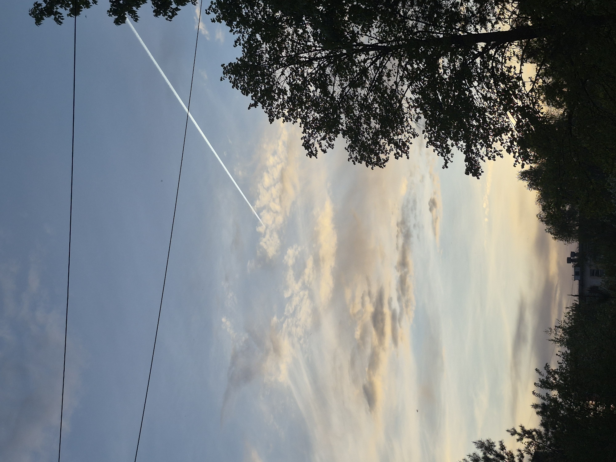 The image depicts a sky view from Chaikovsky, Russia, during dusk or dawn. A white contrail diagonally crosses the blue and cloud-filled sky. Silhouetted tree branches frame the upper and right edges of the image. Electrical wires are visible on the left. Faint building structures are barely visible through the distant trees on the right.